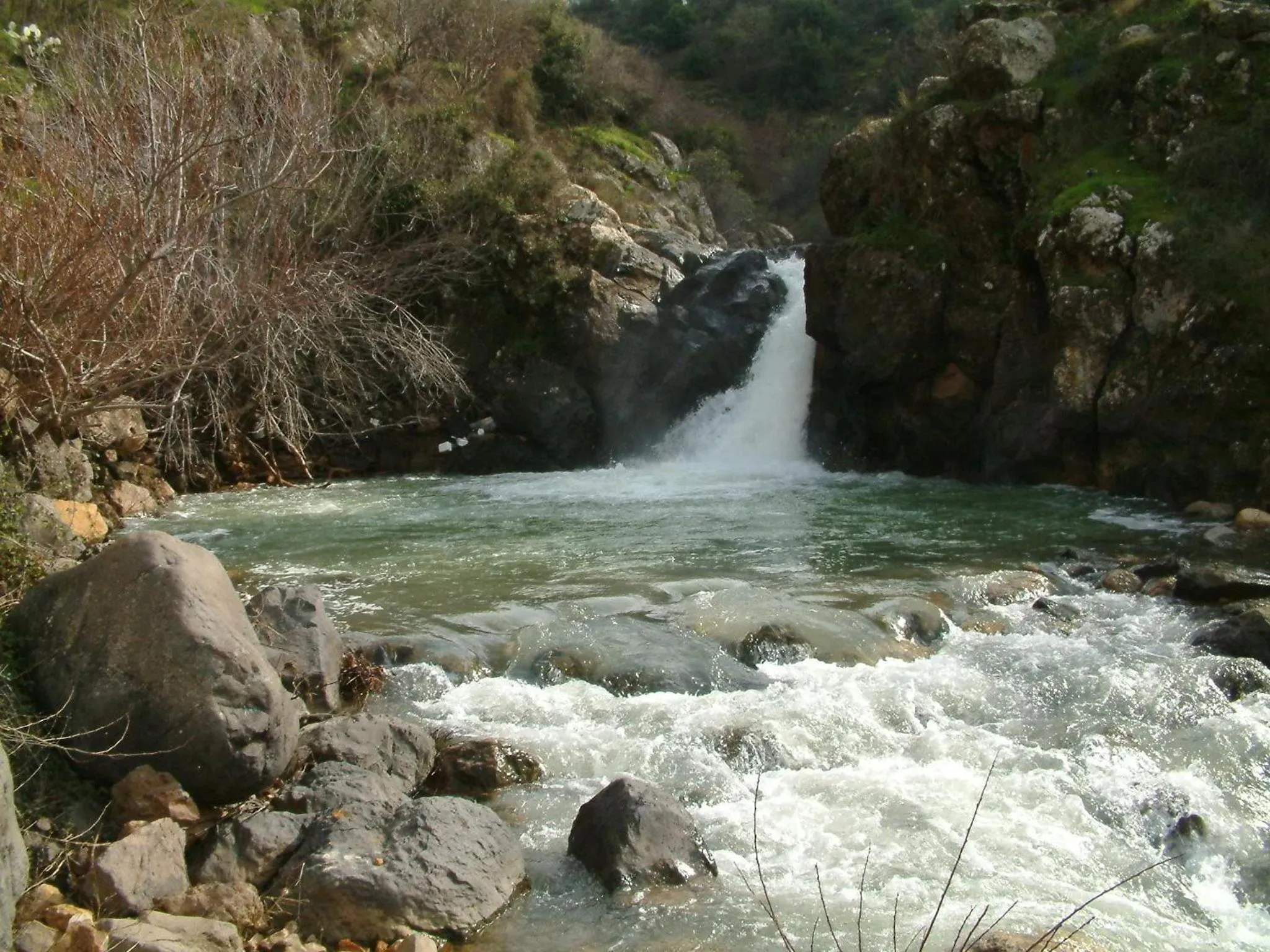 Sanabl Druze Hospitality