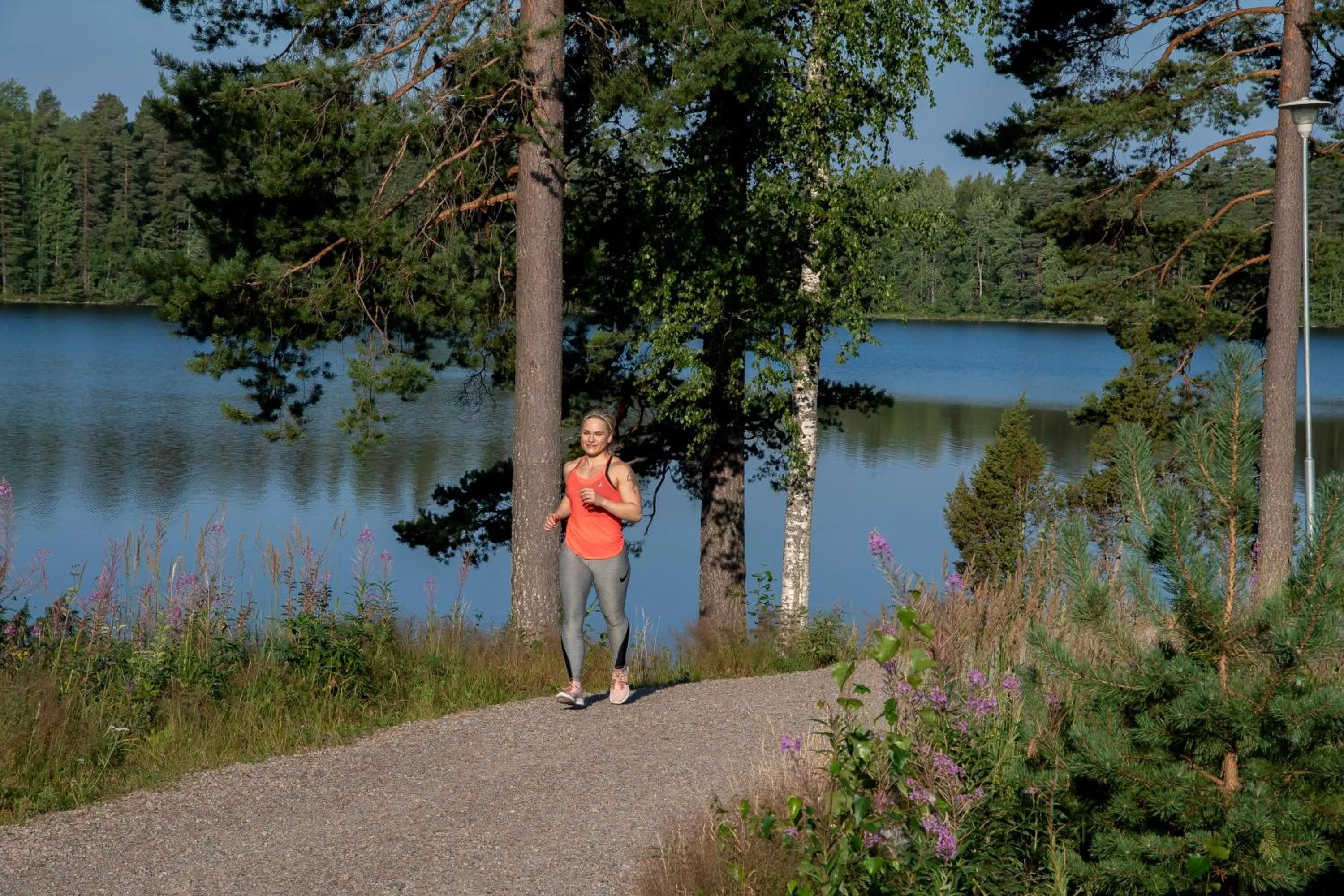 Neighbourhood in Hotel Mesikämmen
