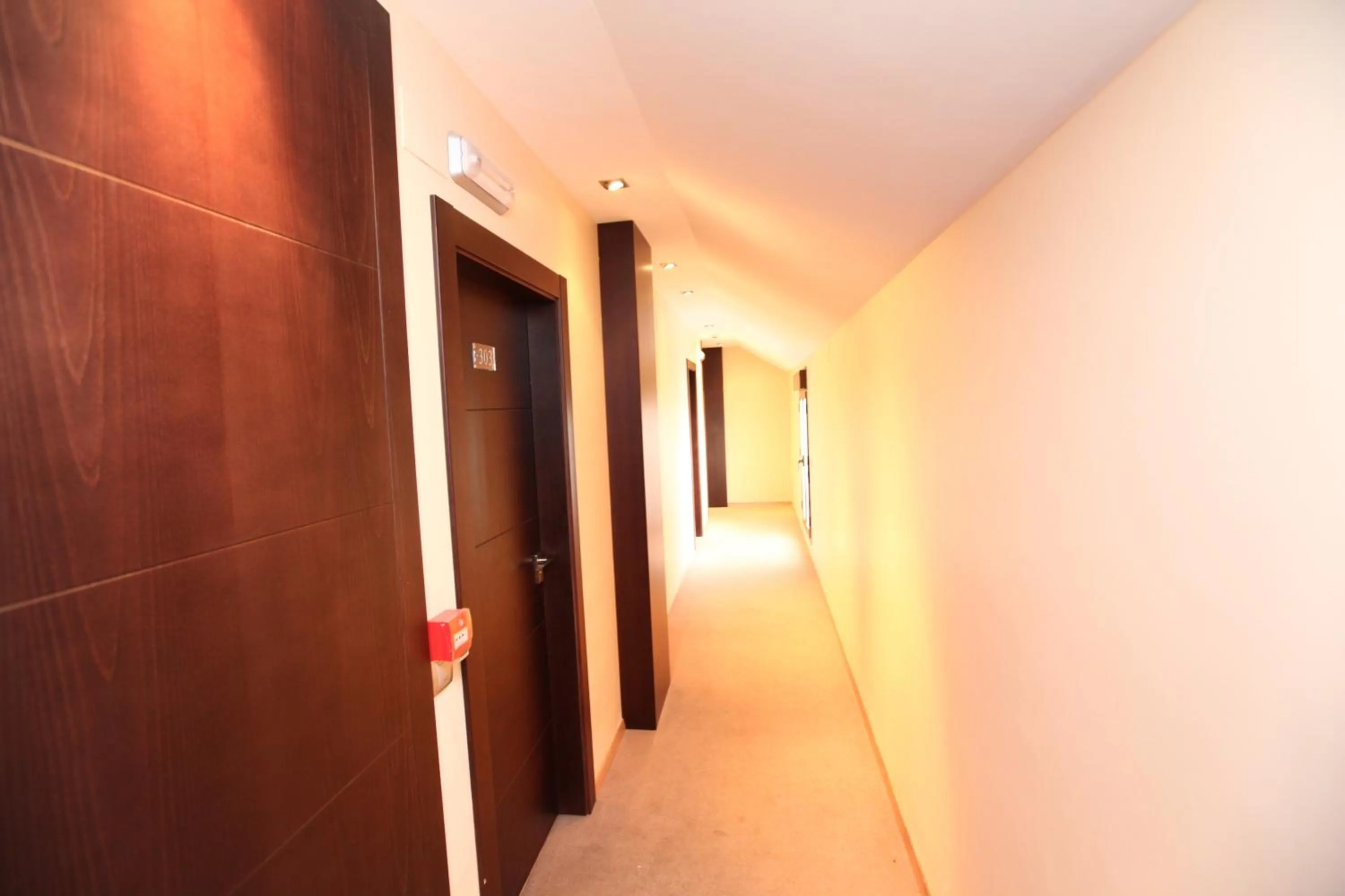 Decorative detail in Hotel Anabel Baza