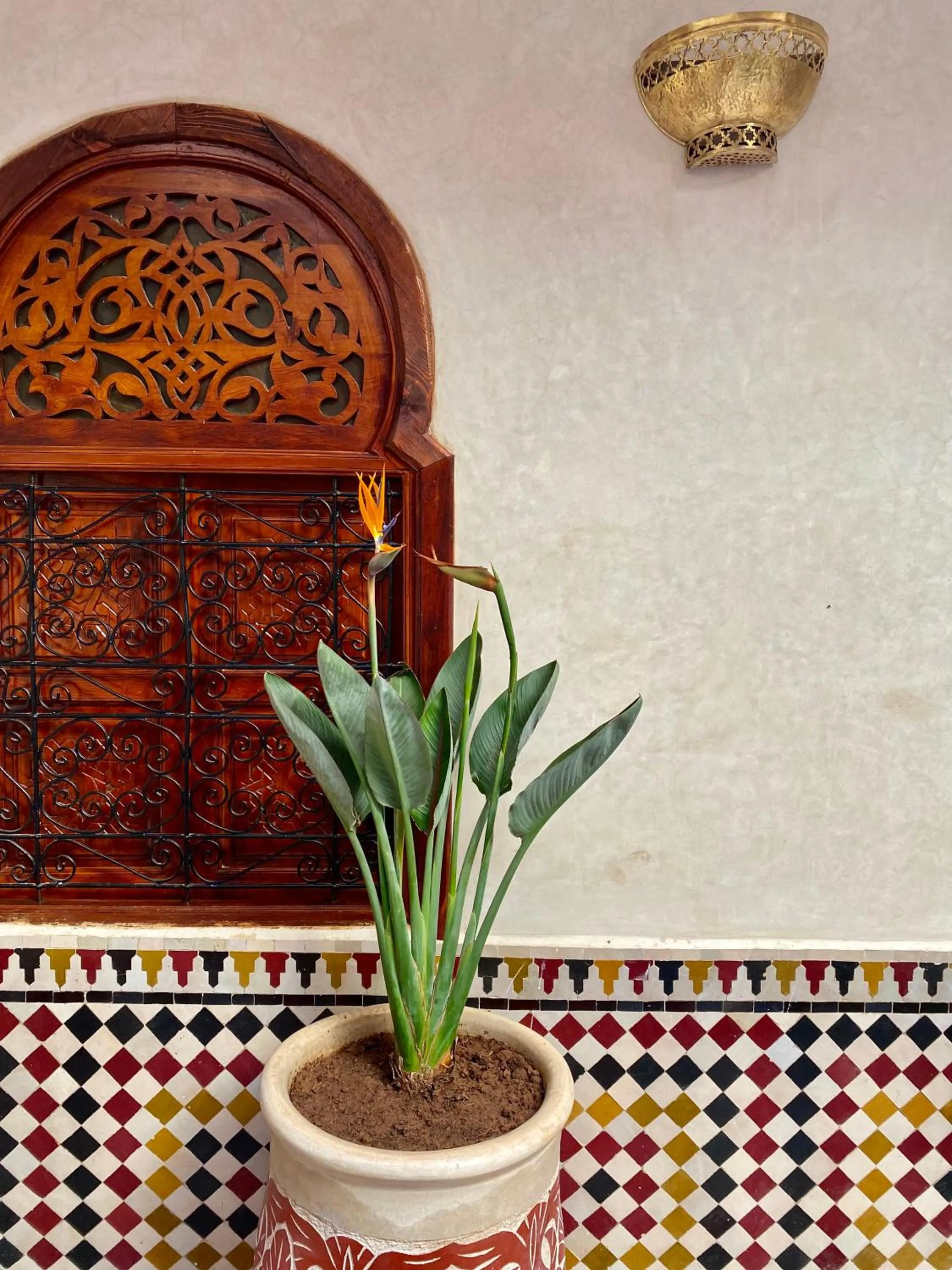 Decorative detail in Riad Prada