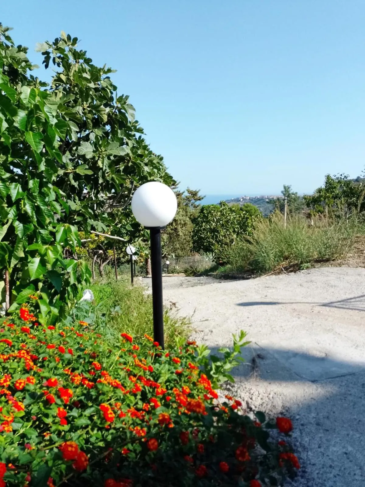 Garden view in Granatelli Holiday Home