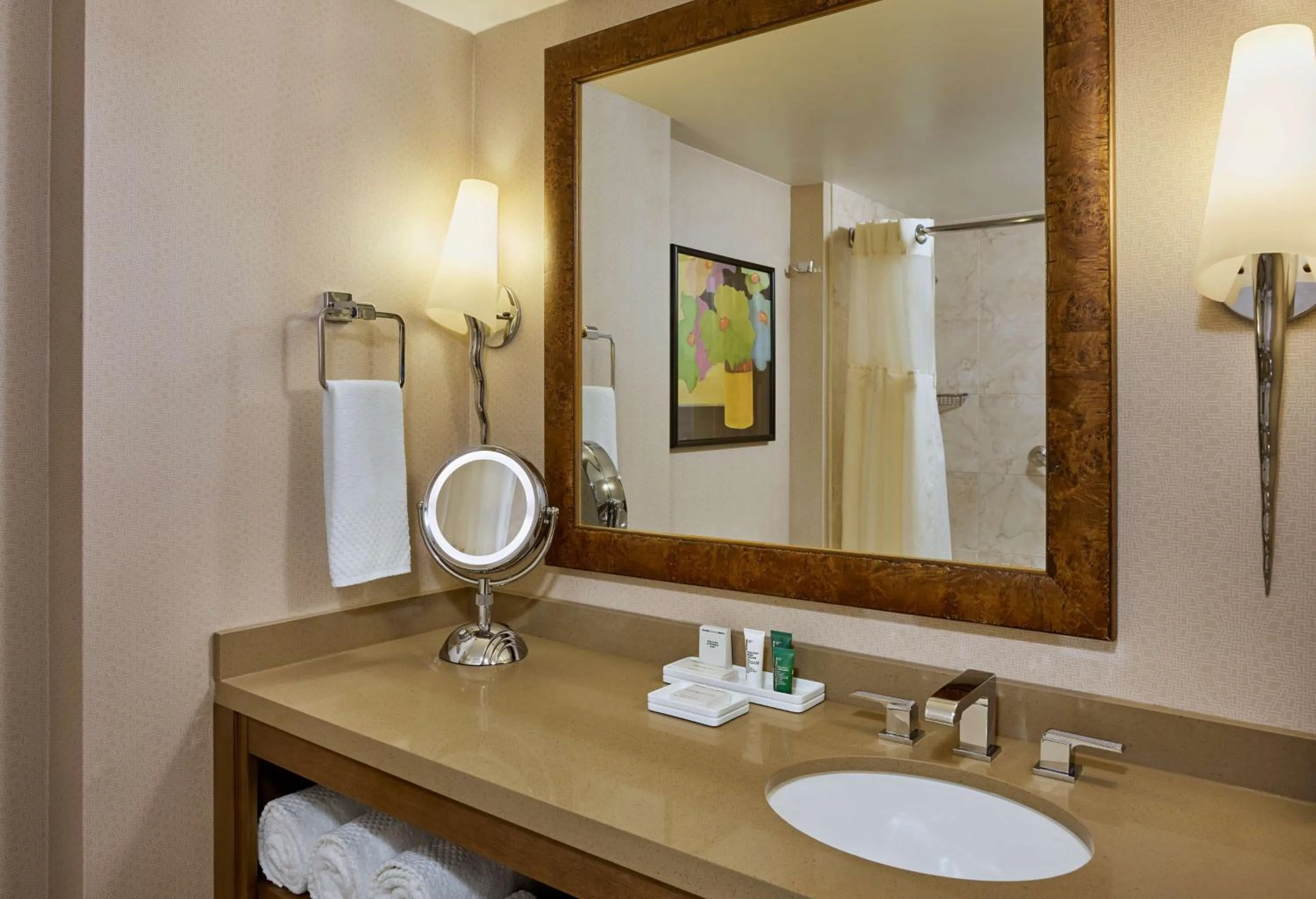 Bathroom in Hilton Los Angeles North-Glendale & Executive Meeting Center