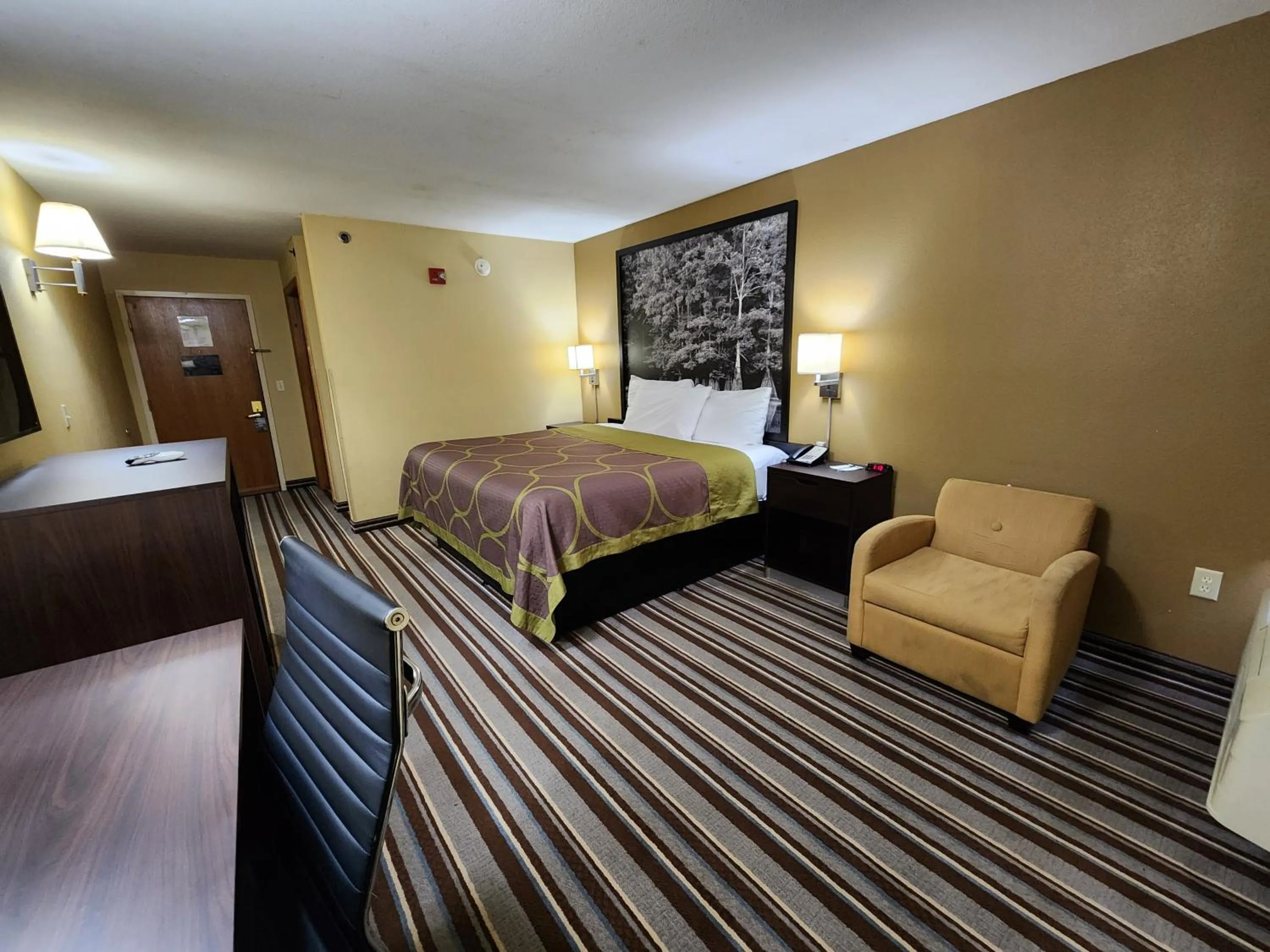 Guests, Bed in Super 8 by Wyndham Pine Bluff