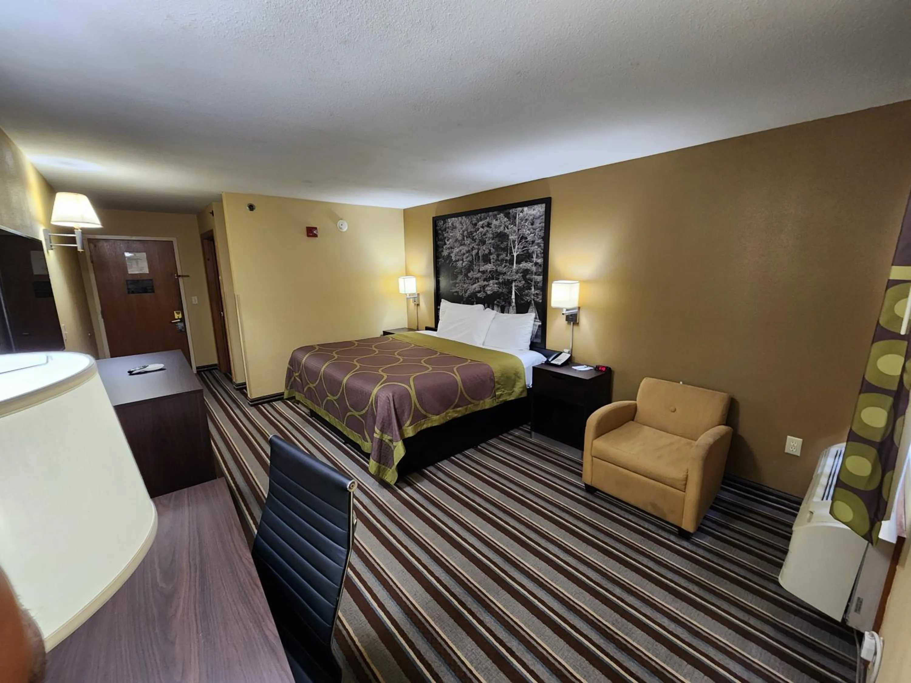 Guests, Bed in Super 8 by Wyndham Pine Bluff