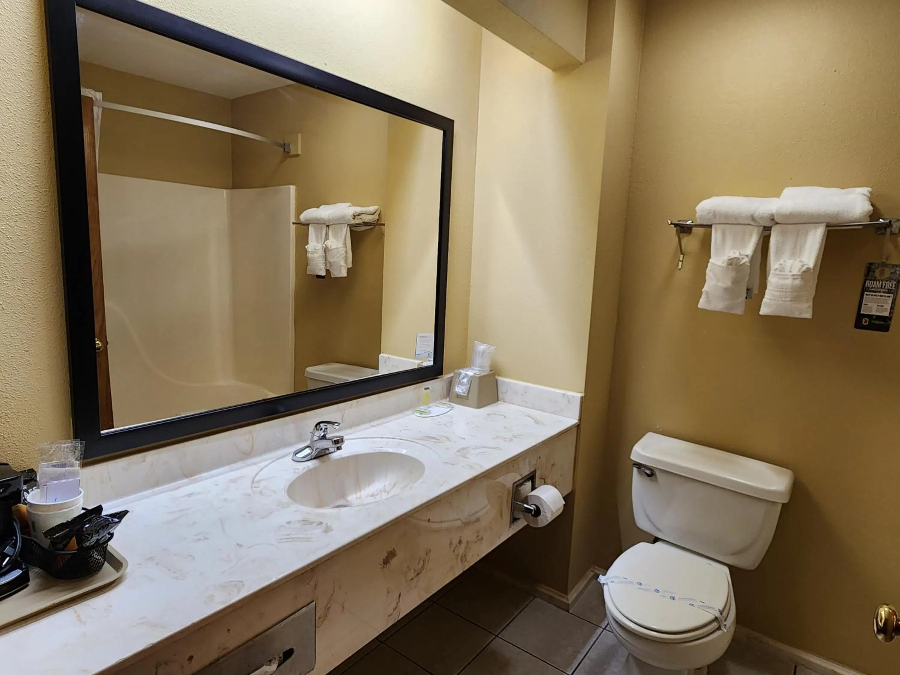 Bathroom in Super 8 by Wyndham Pine Bluff