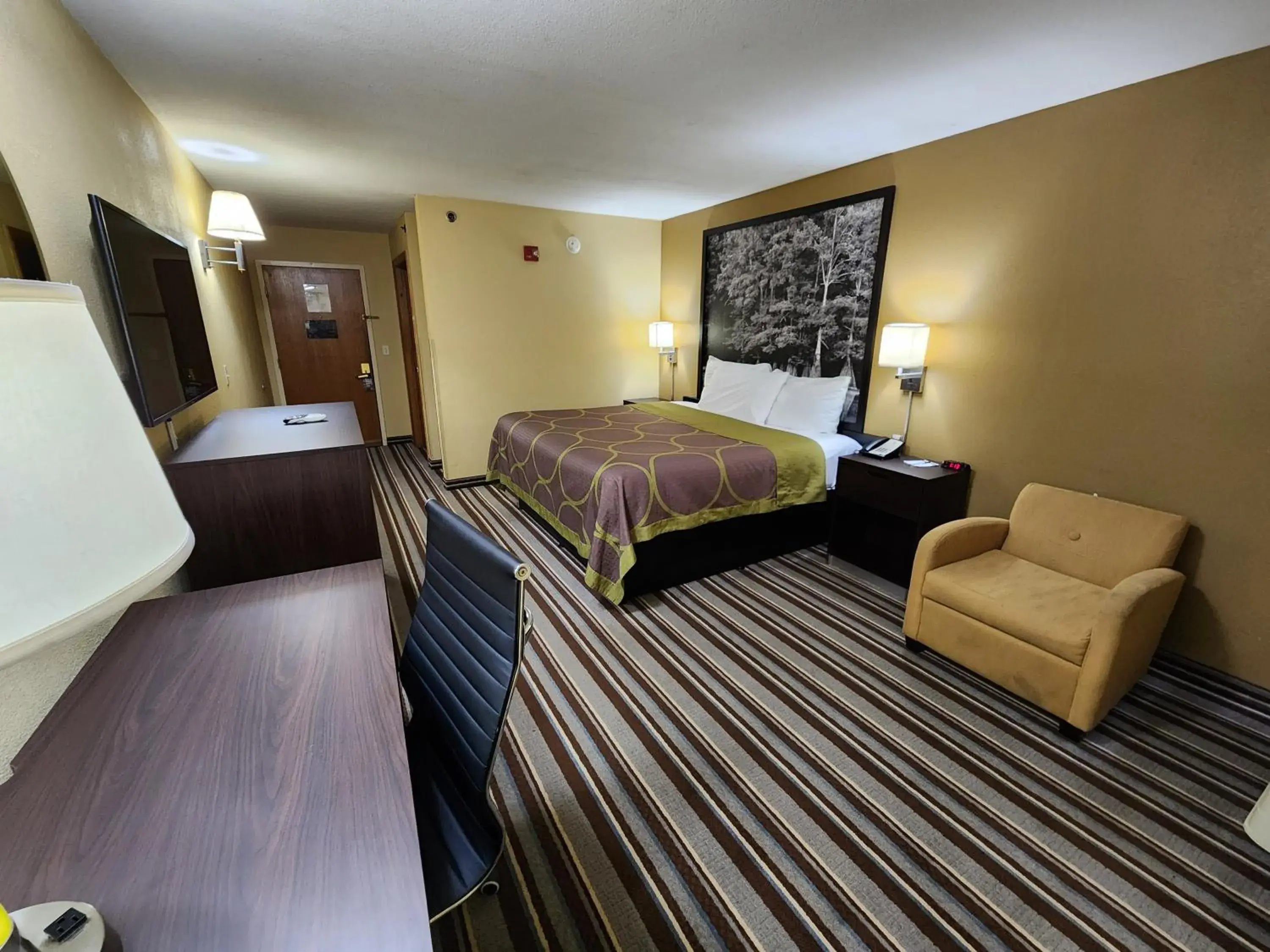 Guests, Bed in Super 8 by Wyndham Pine Bluff Guests, Bed in Super 8 by Wyndham Pine Bluff