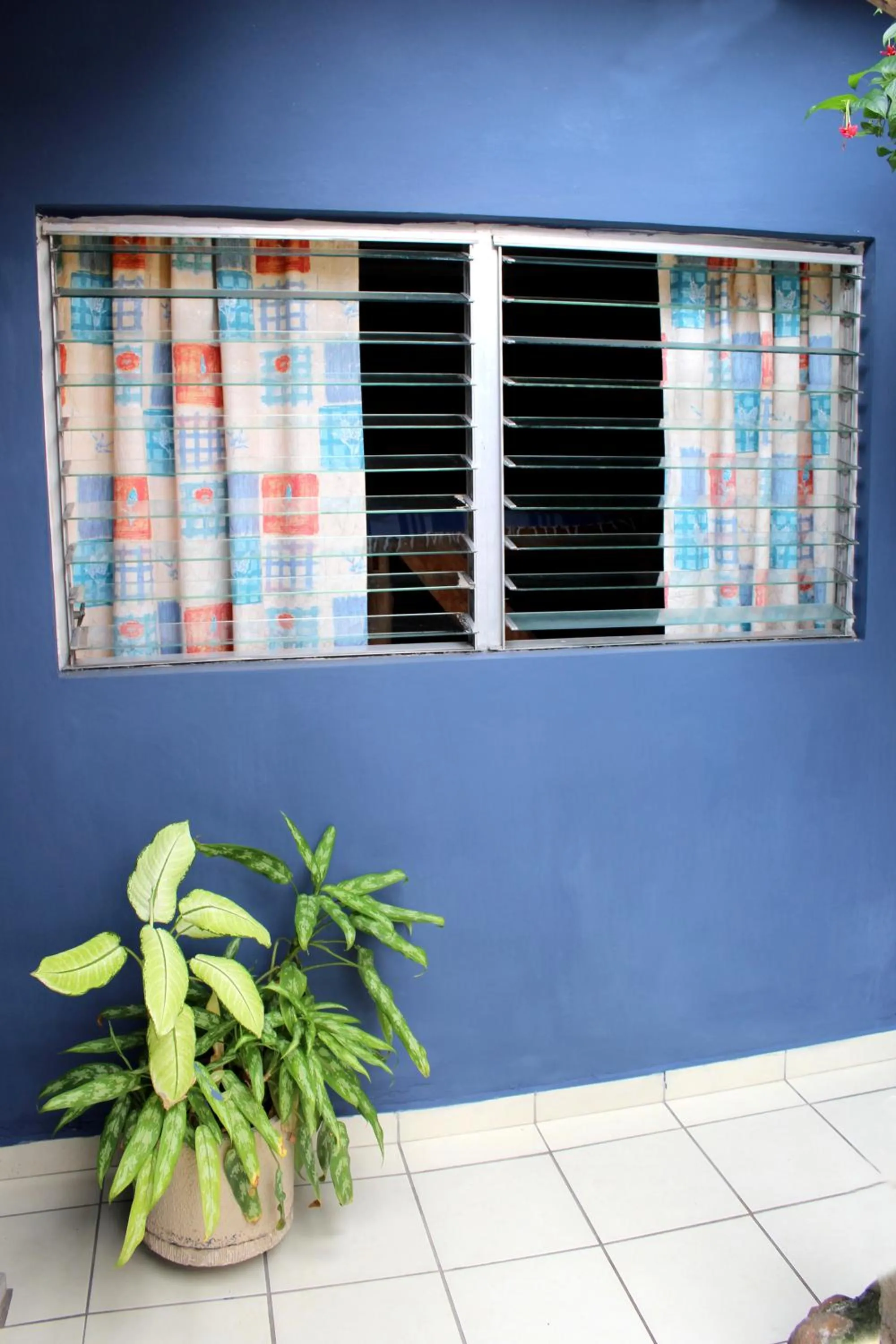 Patio in Ximenas Guest House
