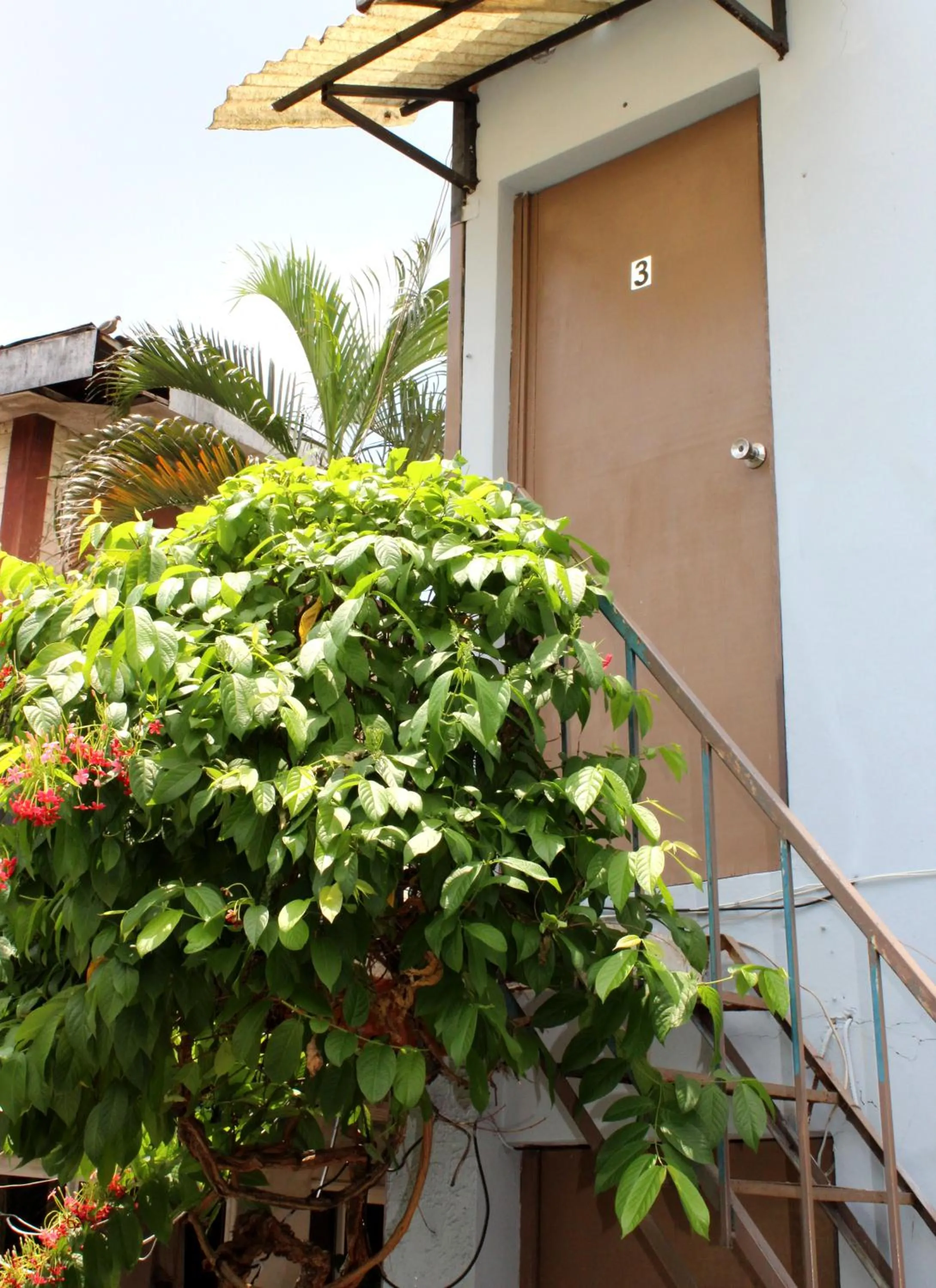 Patio in Ximenas Guest House