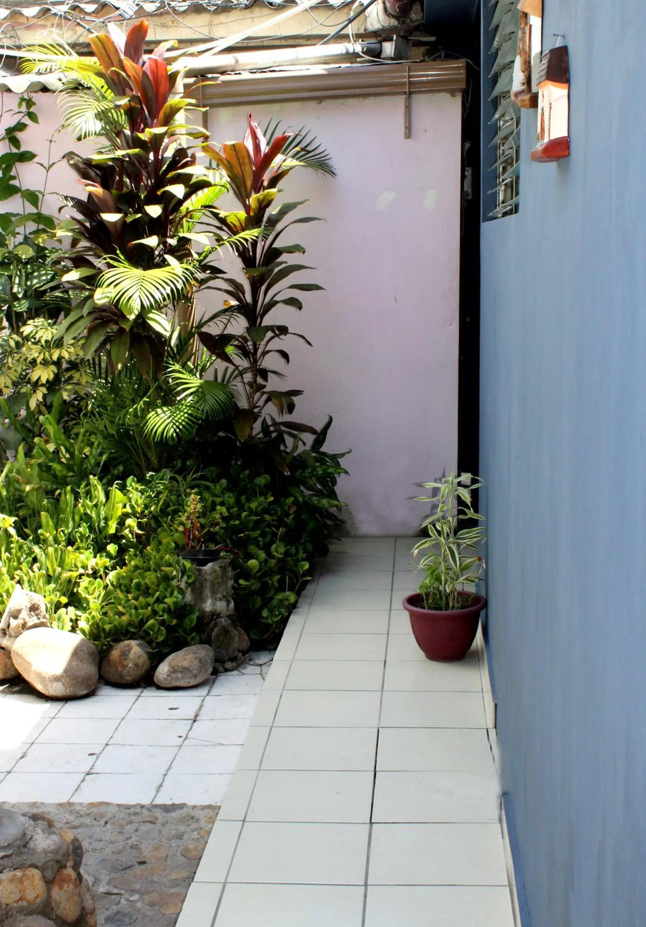 Patio in Ximenas Guest House