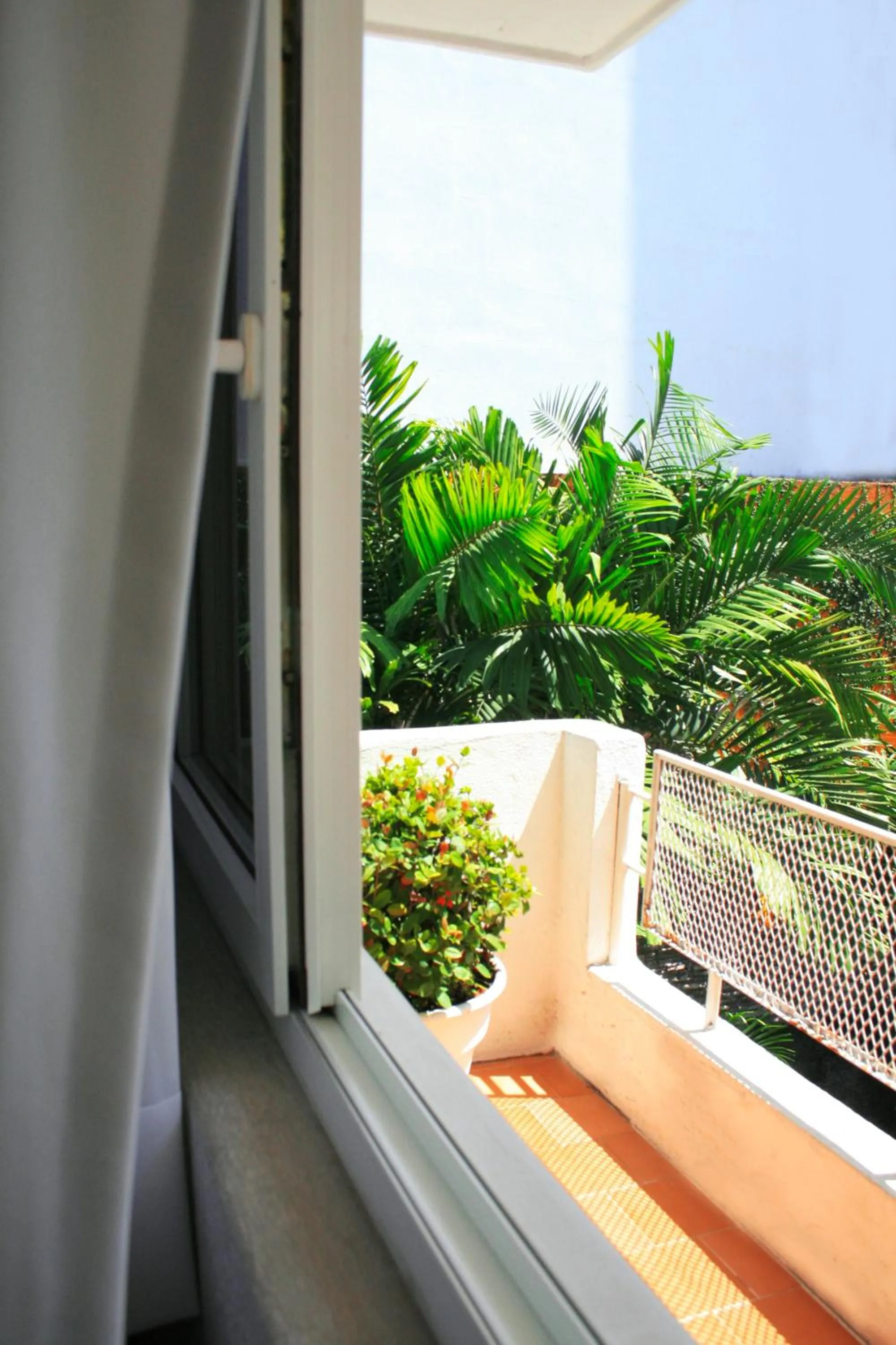 Balcony/Terrace in Hotel Rio Malecon