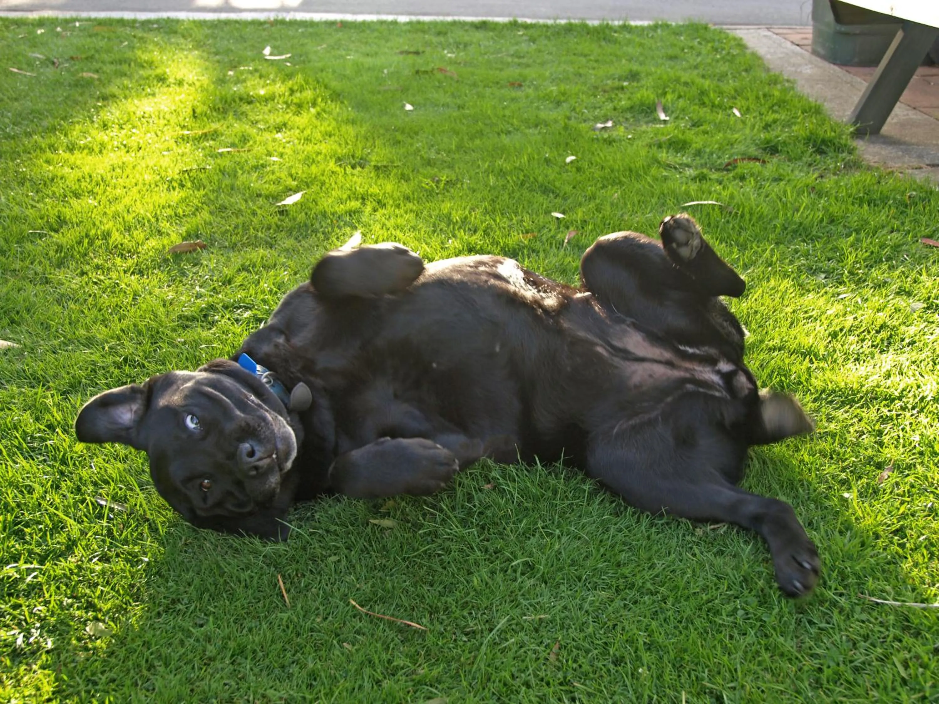 Day in Invercargill Holiday Park & Motels