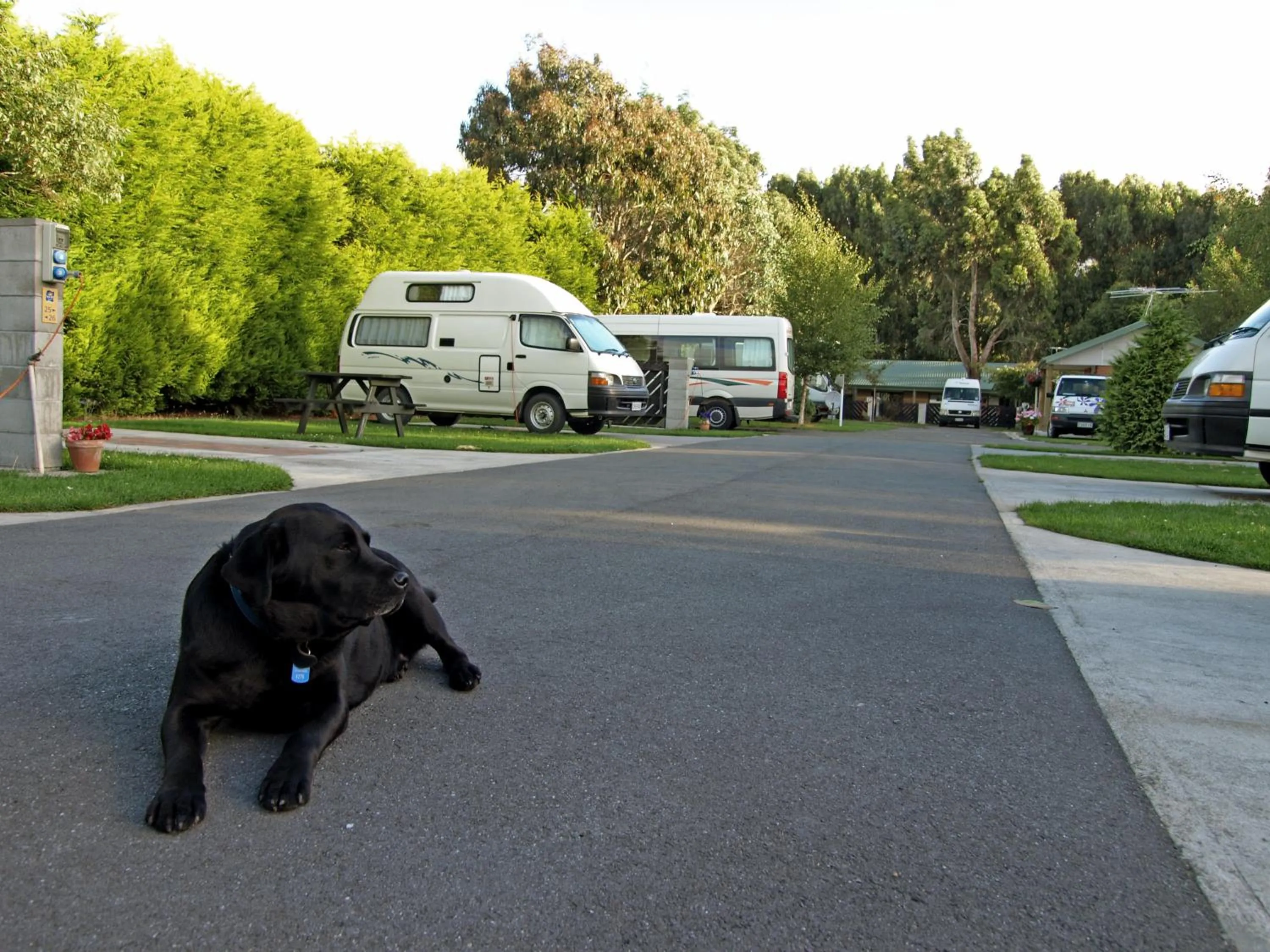 Day in Invercargill Holiday Park & Motels