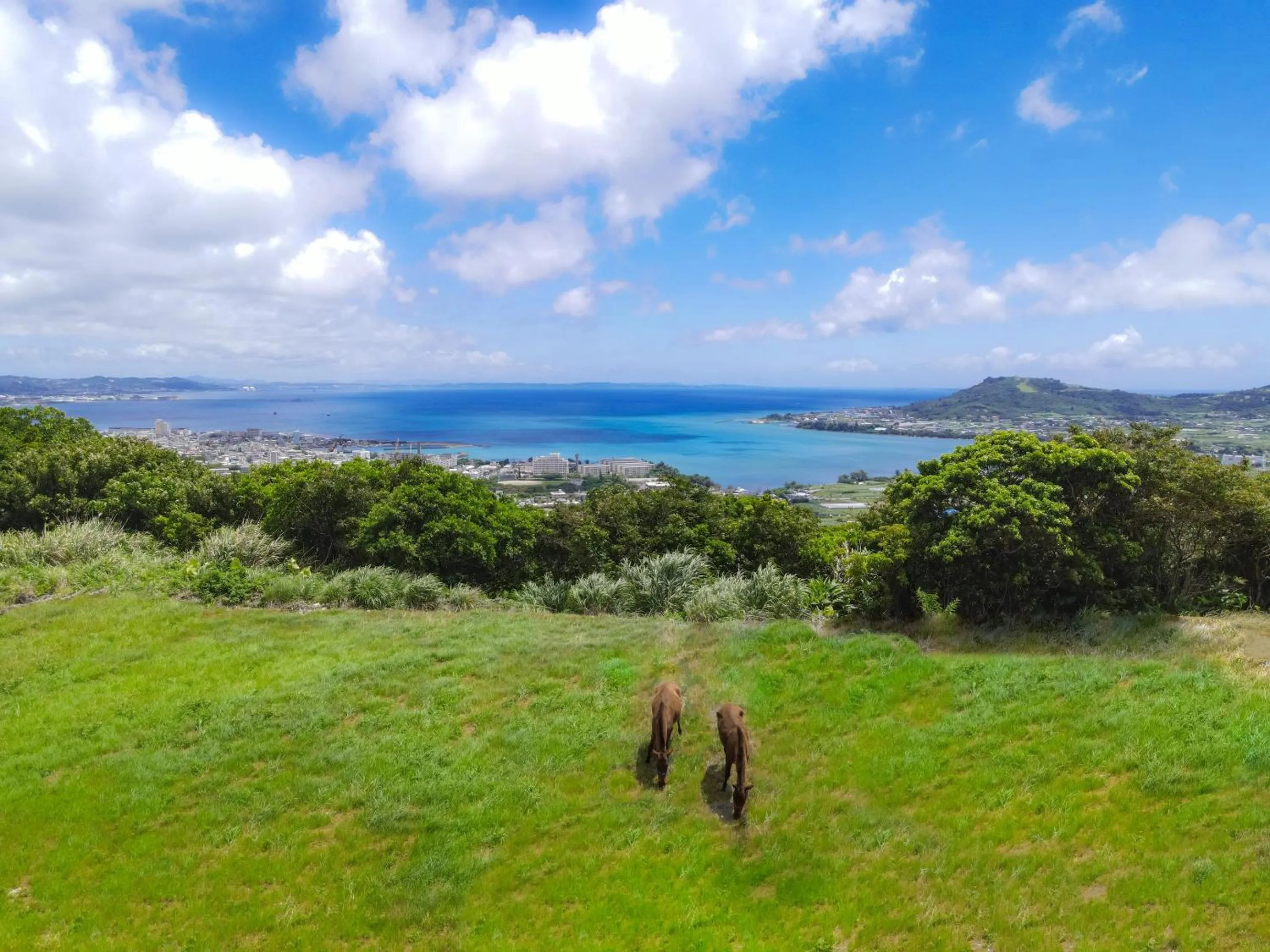 Activities in The Yuinchi Hotel Nanjo