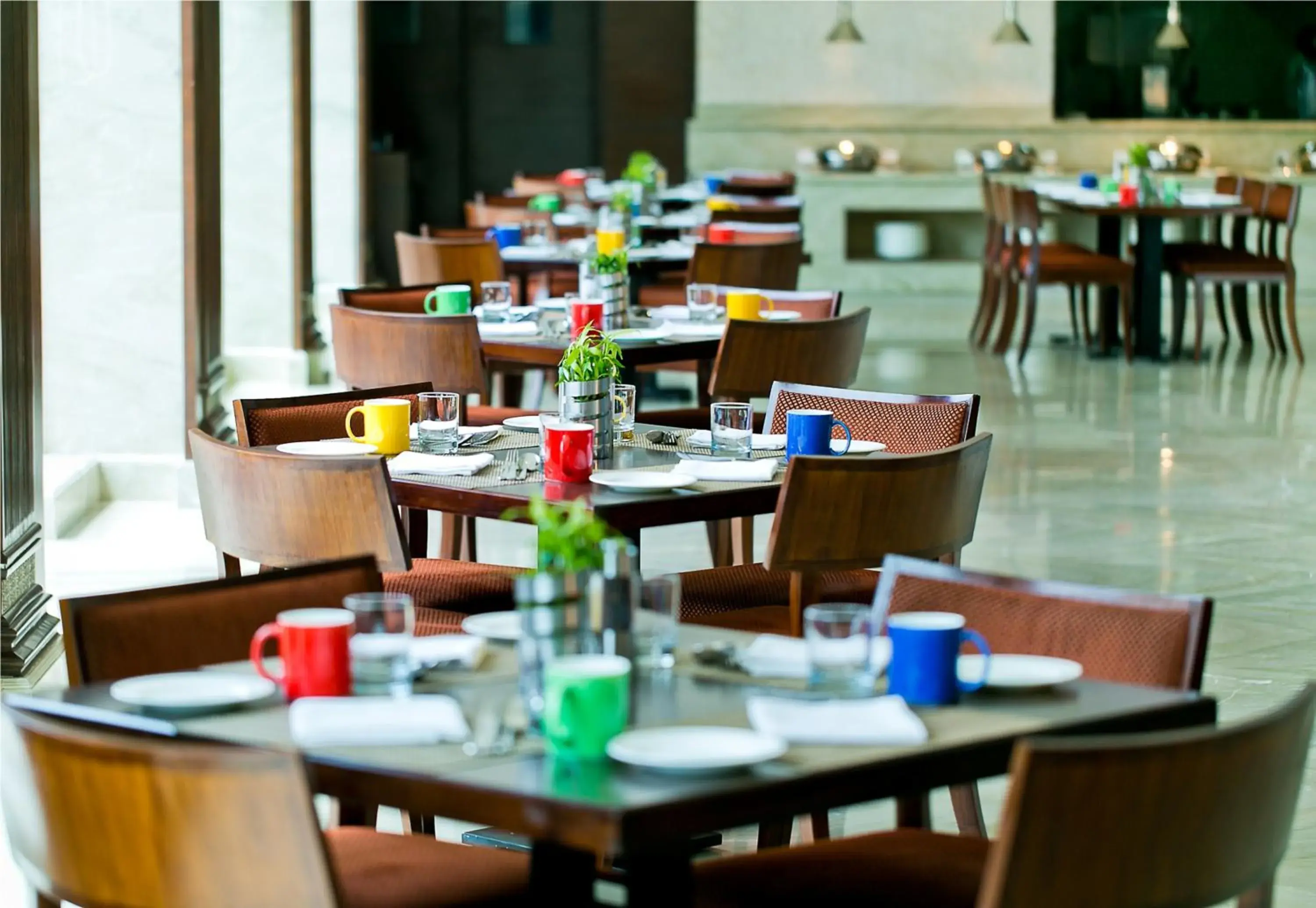Restaurant/places to eat in The Lalit Jaipur Restaurant/places to eat in The Lalit Jaipur