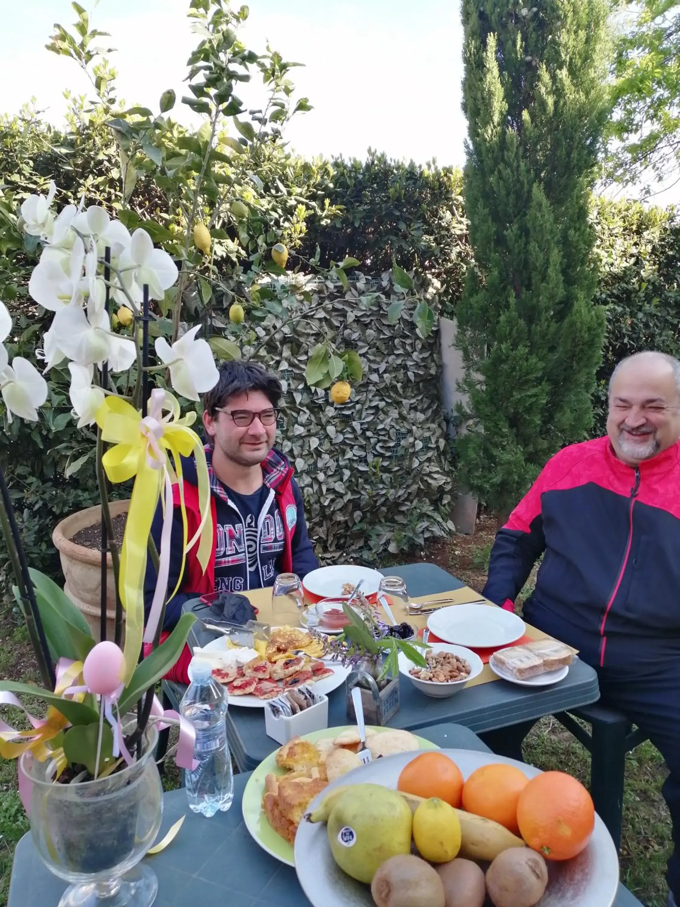 B&B Il Giardino Etrusco B&B Il Giardino Etrusco