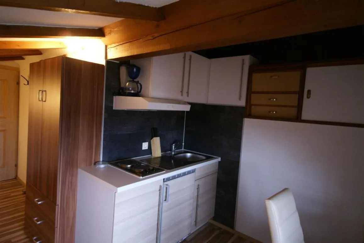 Kitchen or kitchenette in Appartement Gschwandtner