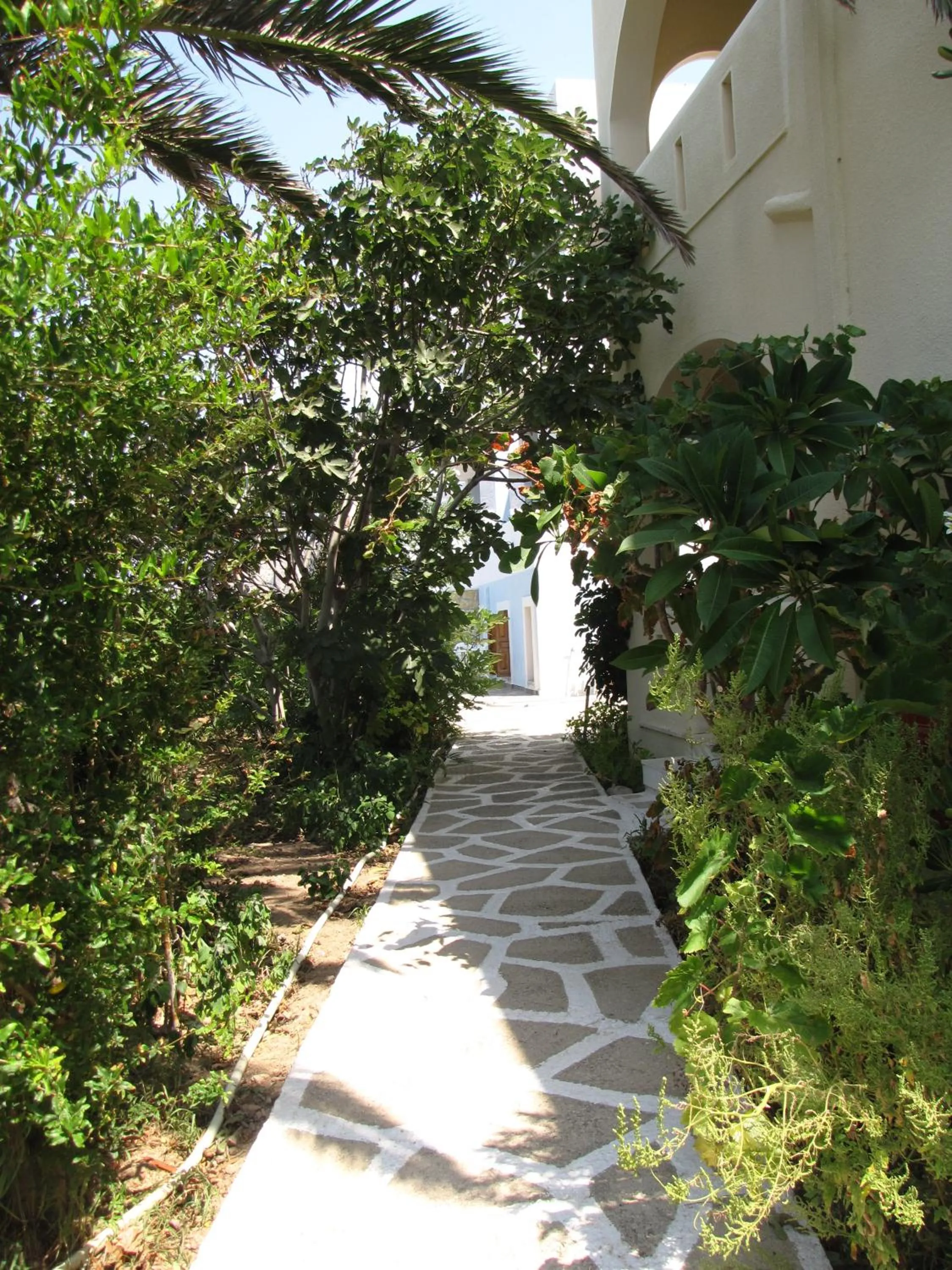 Garden in Montemar Studios & Apartments