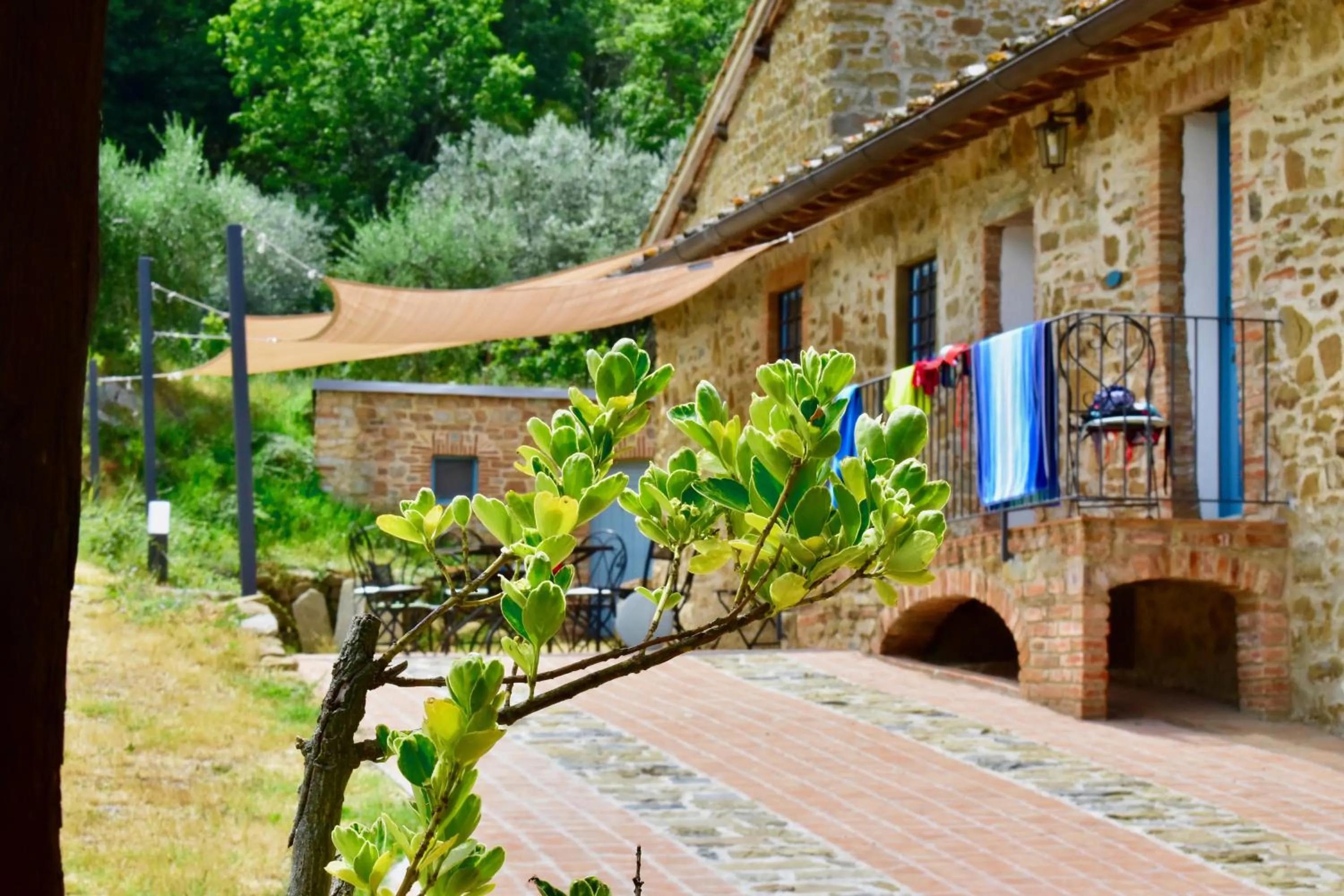 Mezzano In Chianti