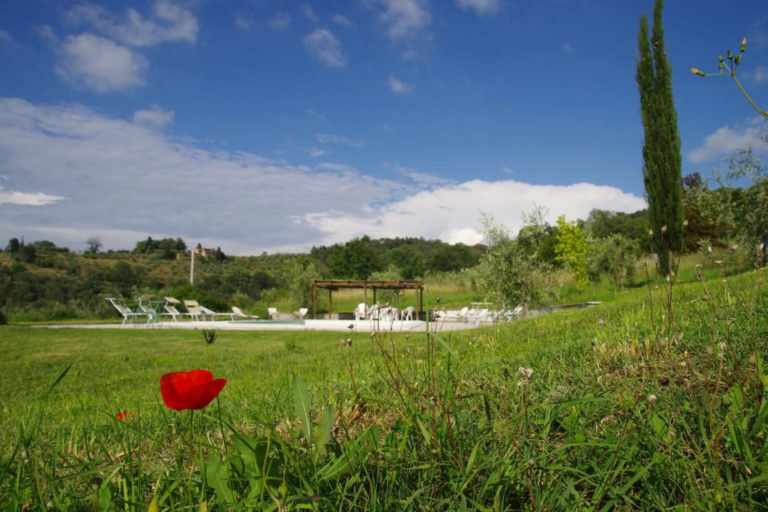 Natural landscape in Mezzano In Chianti