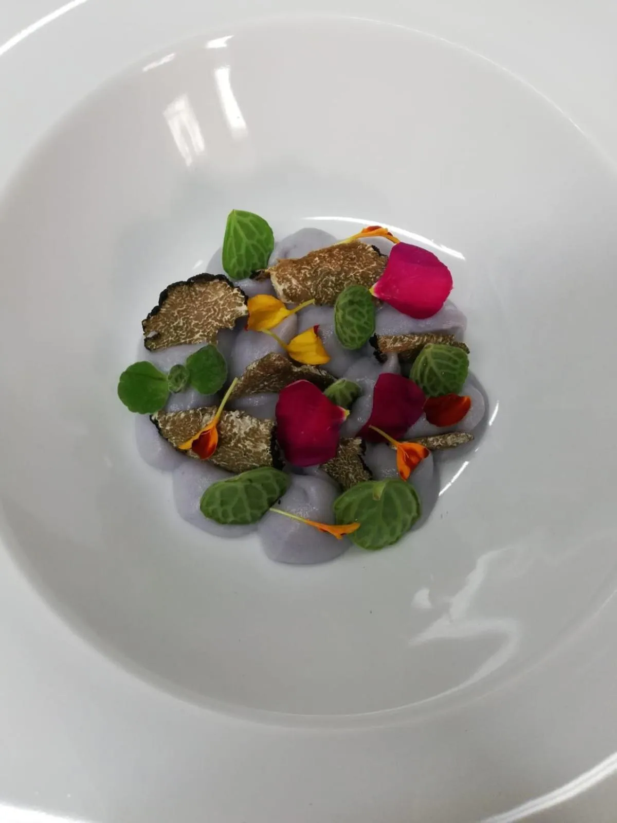 Food and drinks in Aquamarea