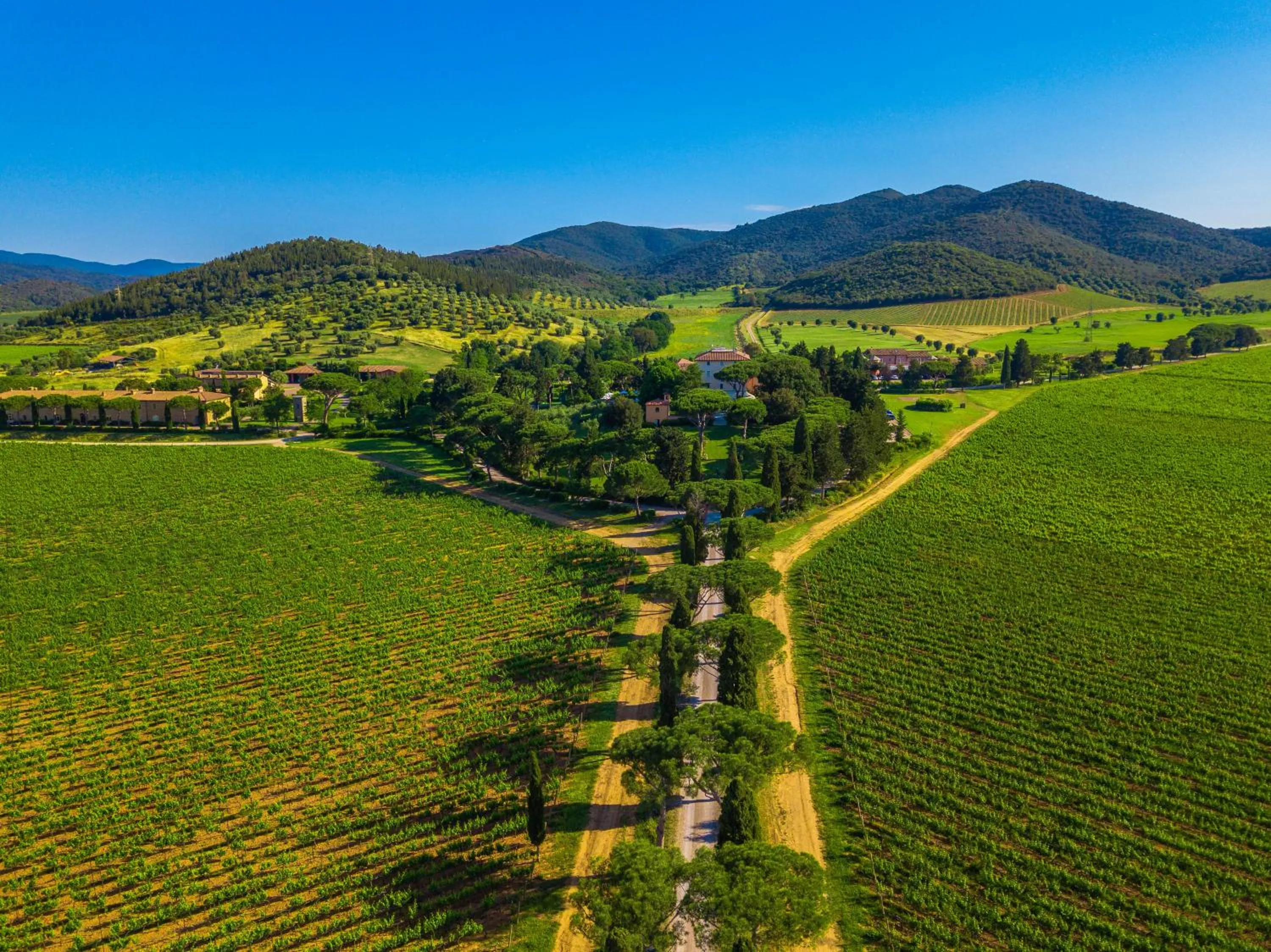 Day in L'Andana Tenuta La Badiola