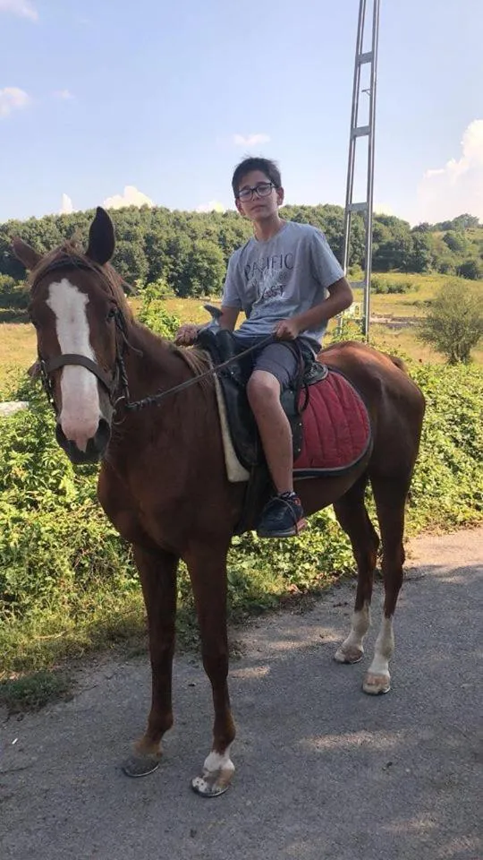 Property building in Castle Nolana