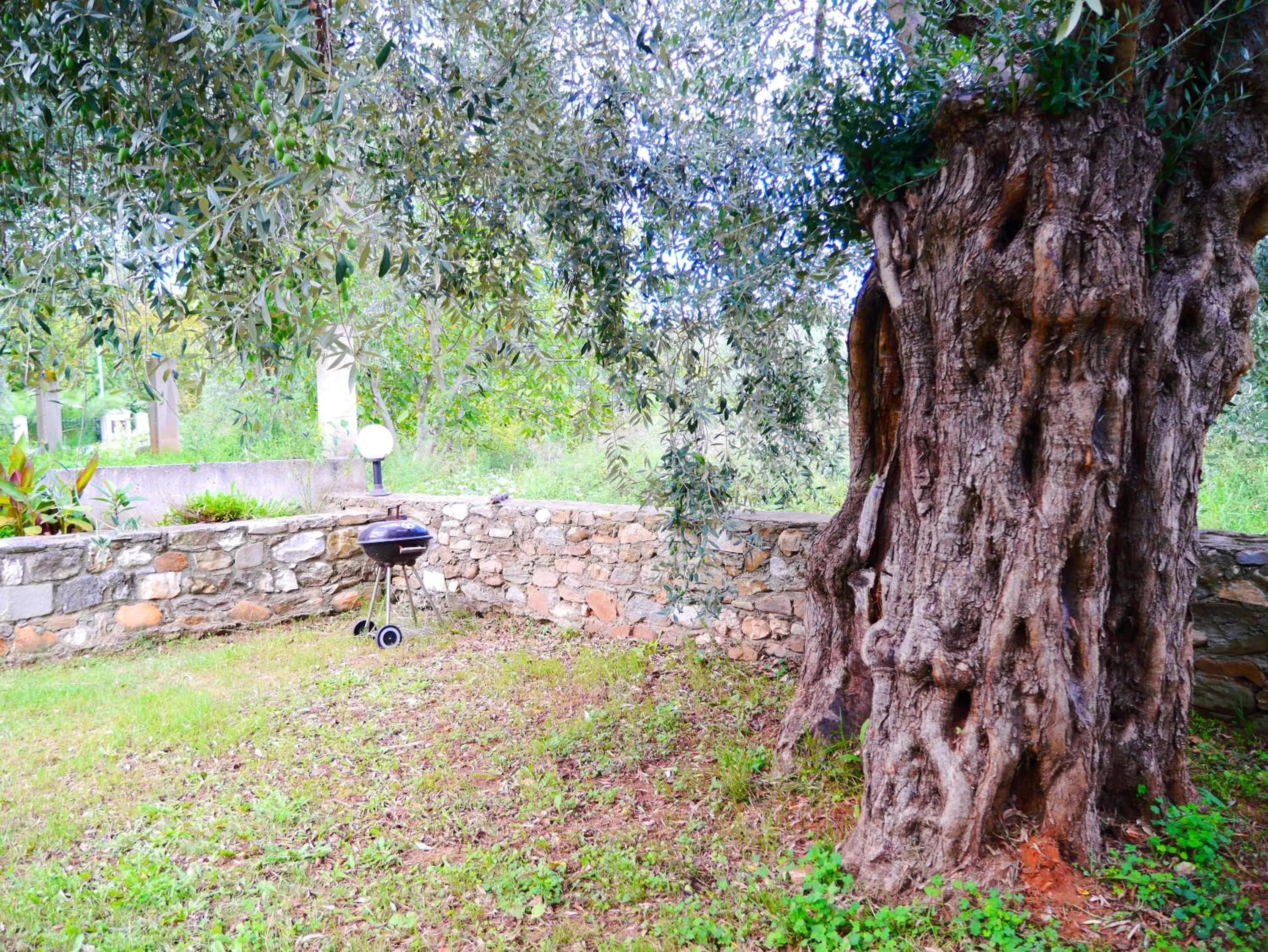 Garden in Blue Sky Villas