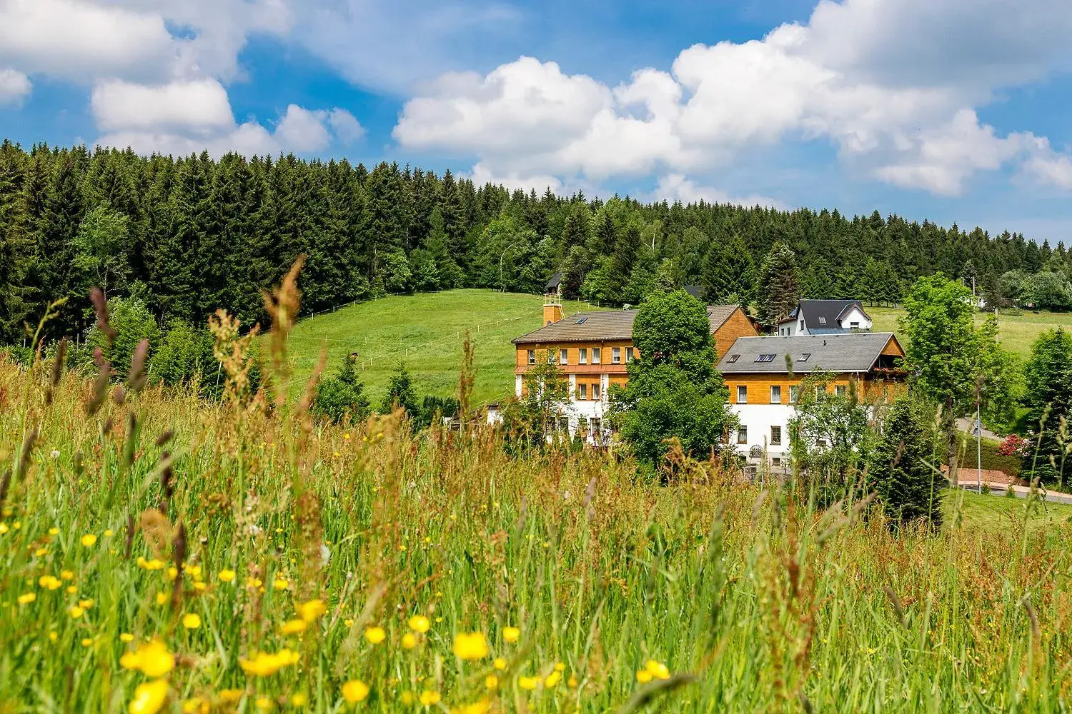 Landhaus Bergidyll Landhaus Bergidyll