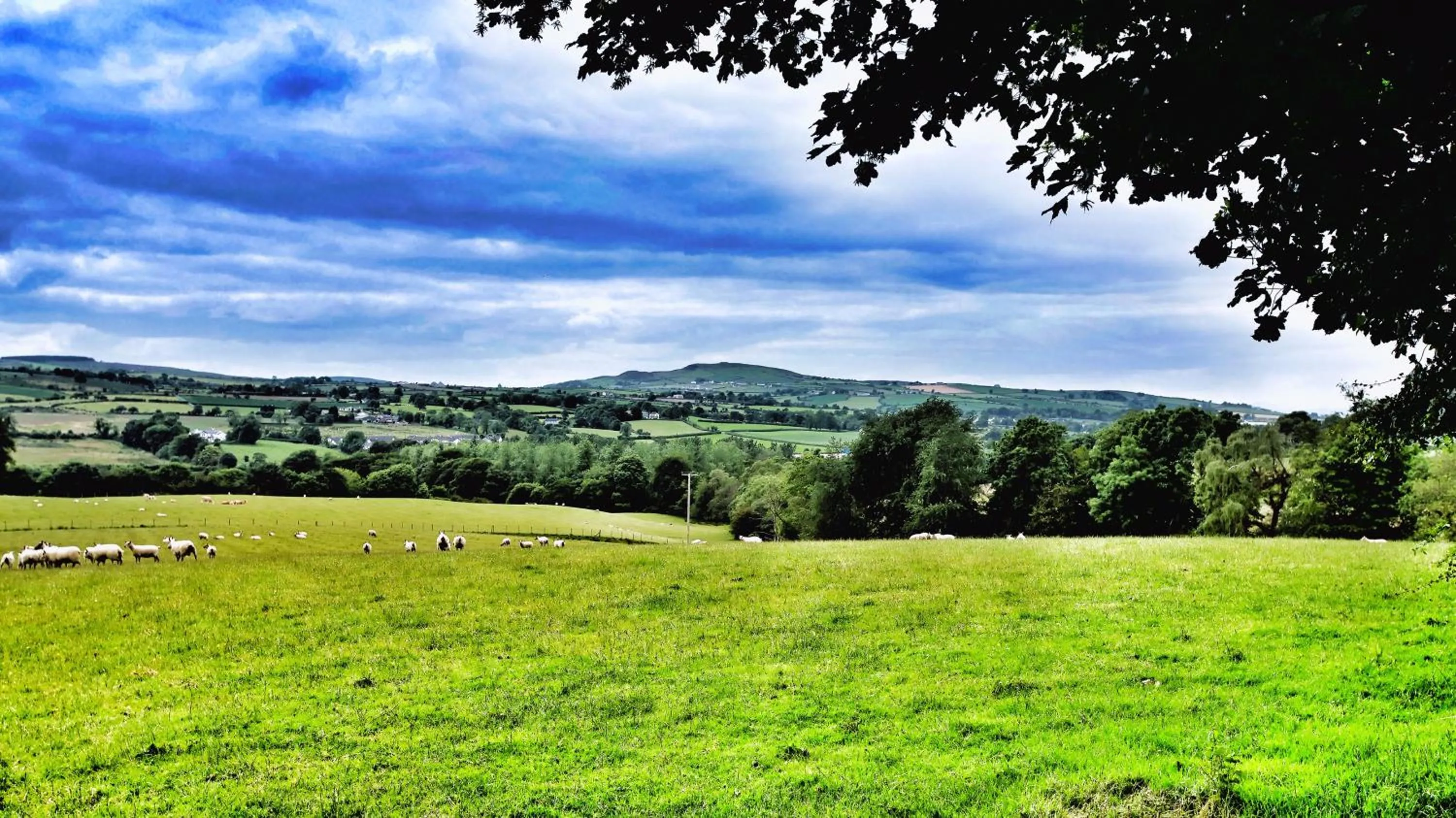 Neighbourhood in Elagh View Bed & Breakfast