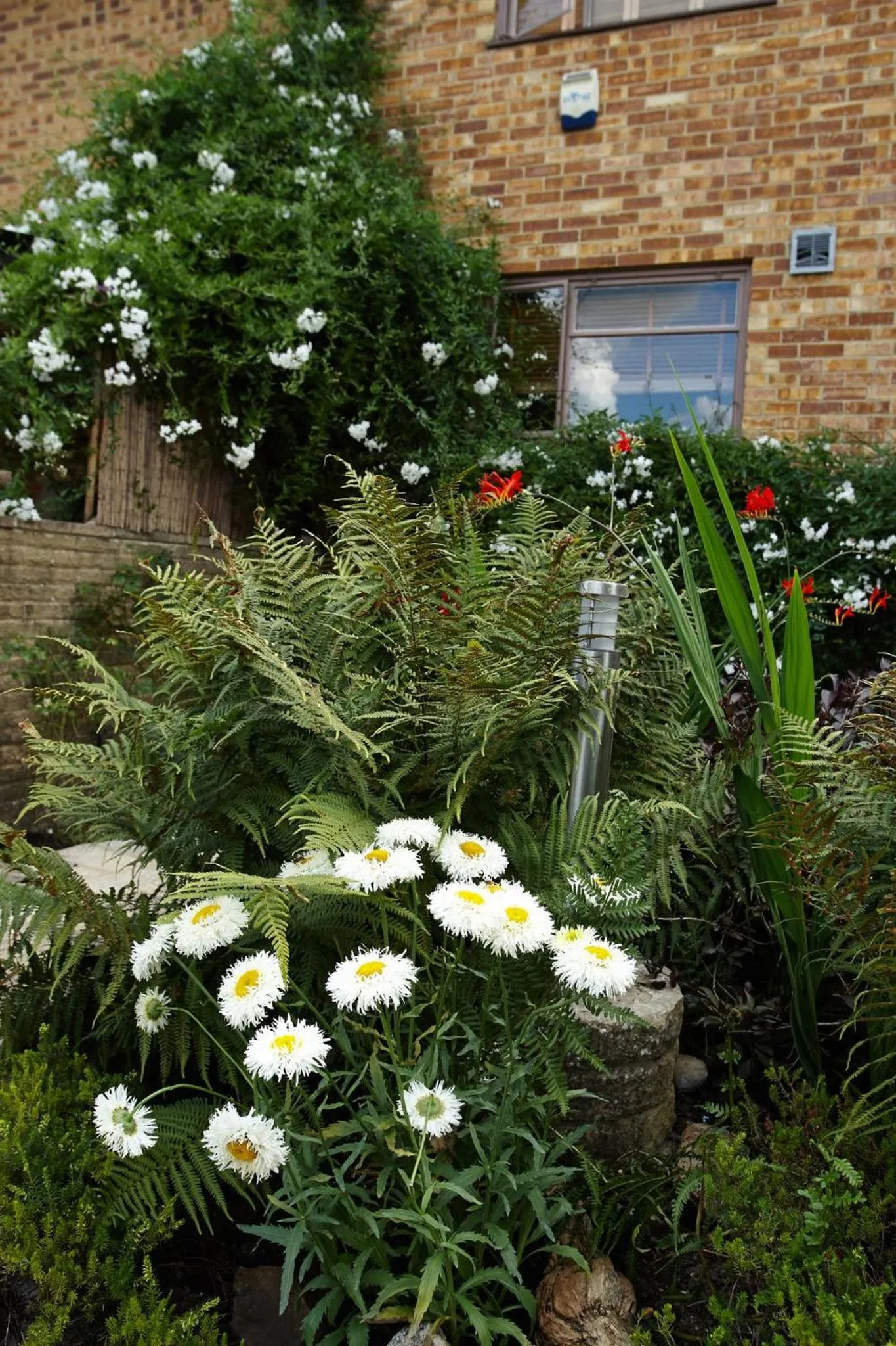 Richmond Lane Guest House - AA Accredited