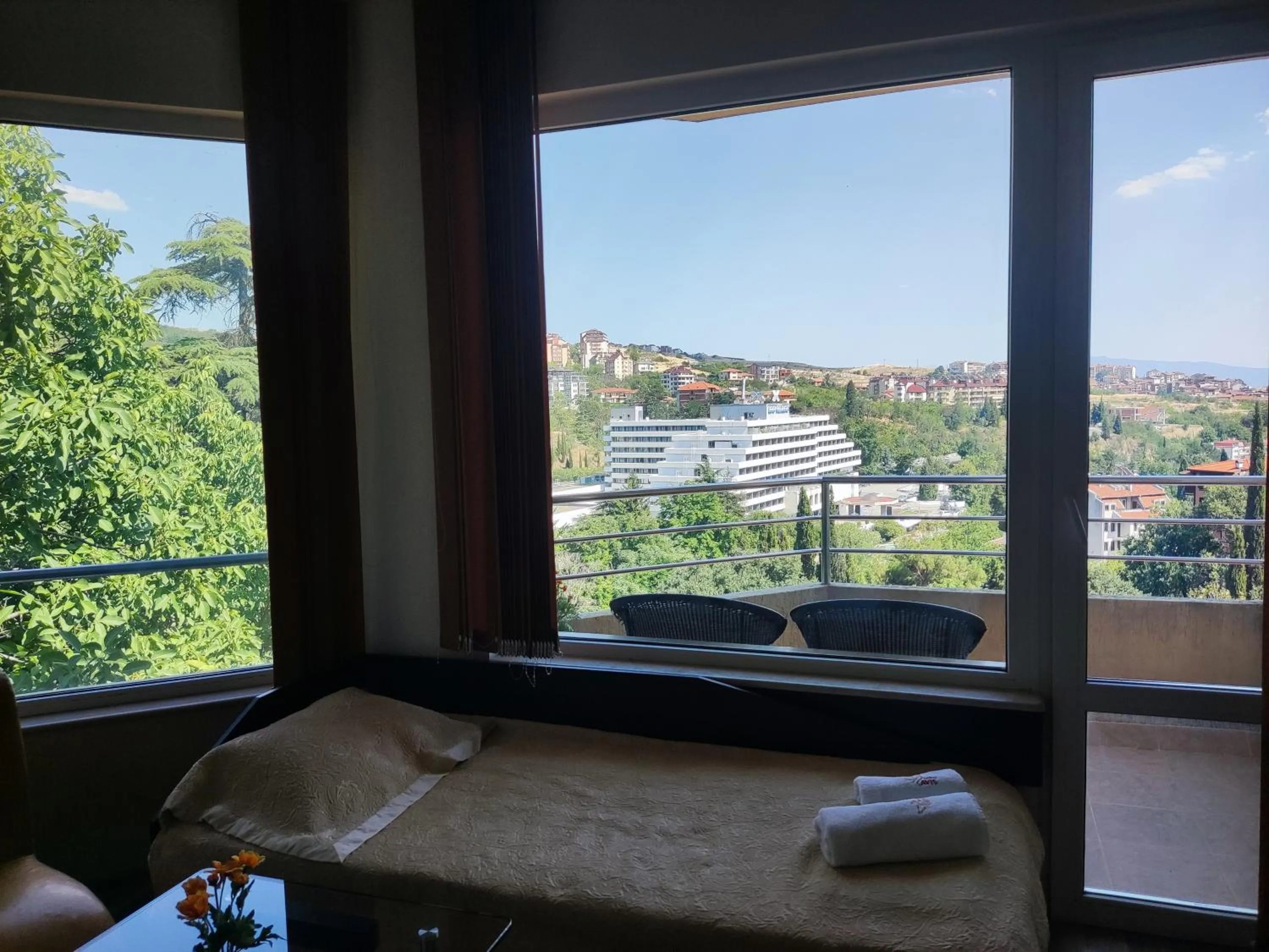 View (from property/room) in Hotel Avis