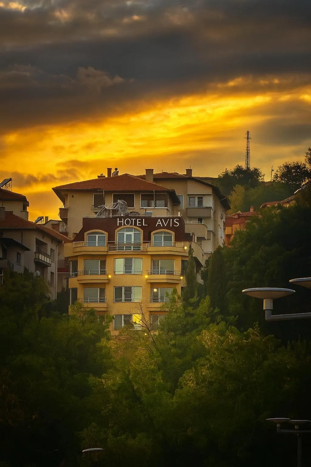 Property building in Hotel Avis