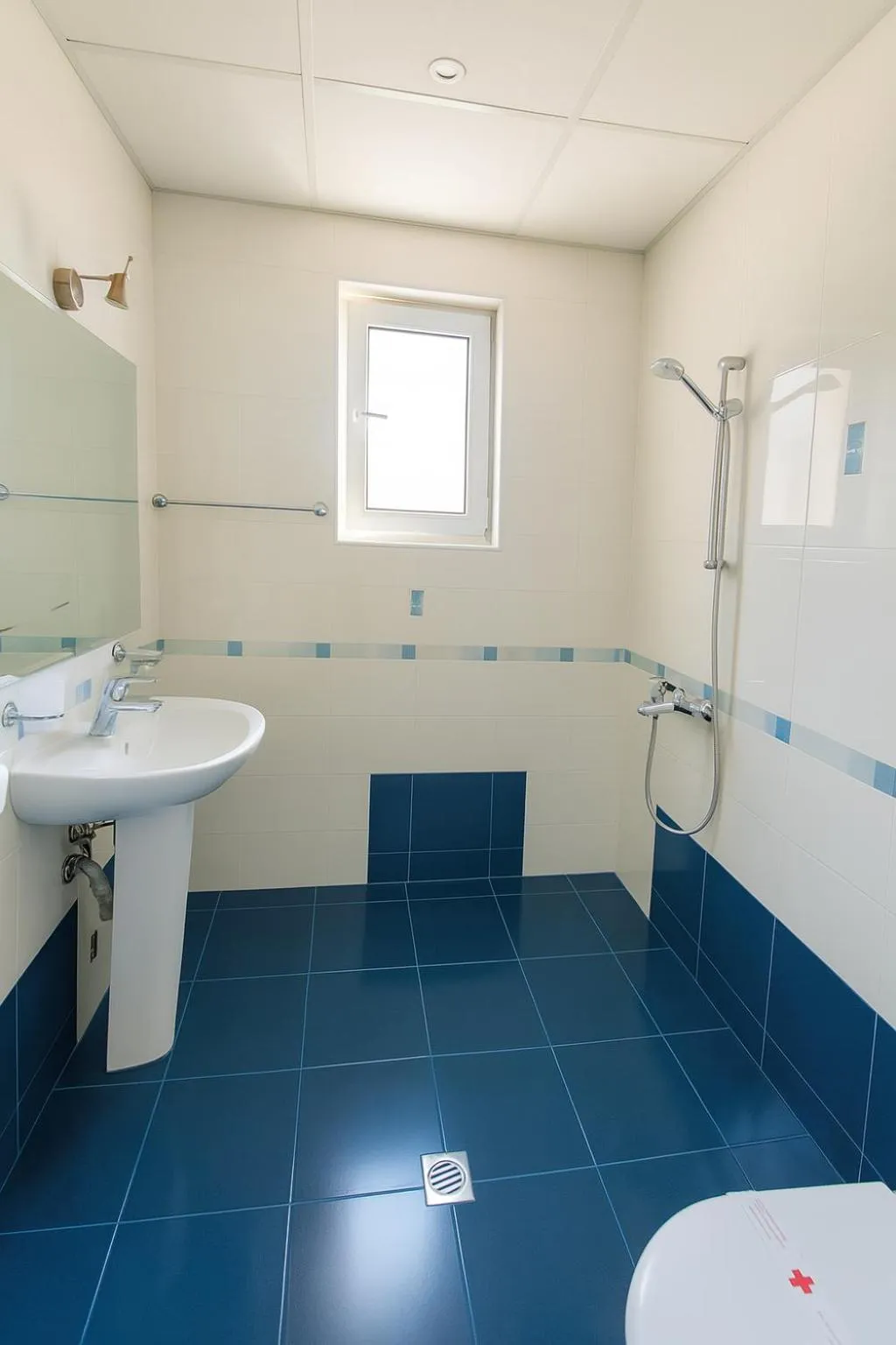 Shower in Hotel Avis