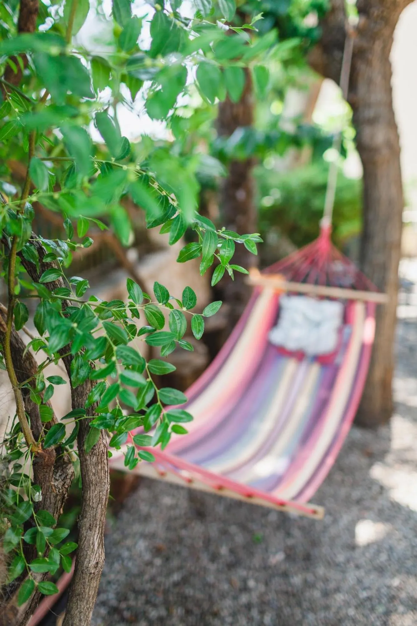 Garden in Ionian Paradise