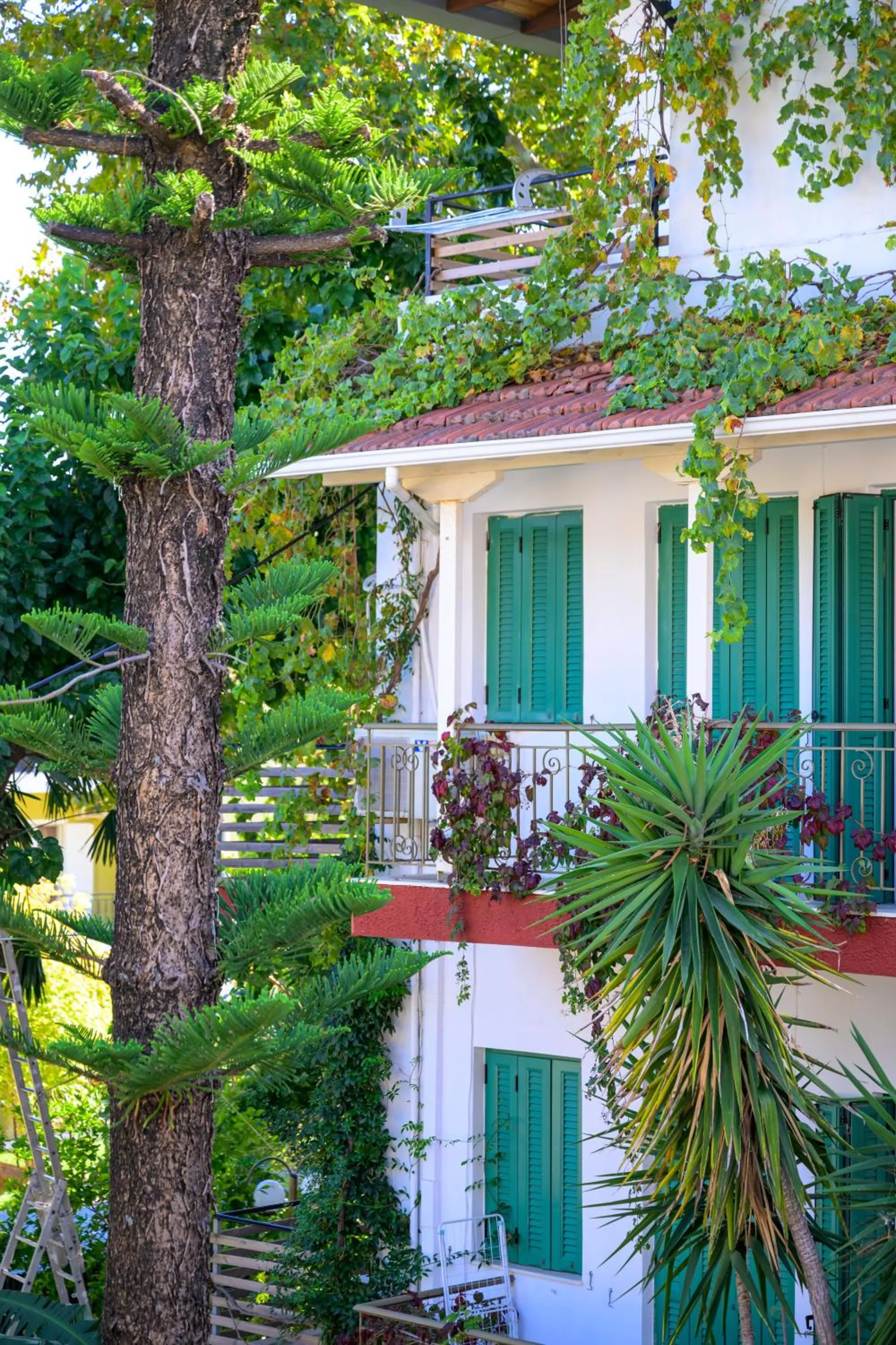 Property building in Ionian Paradise