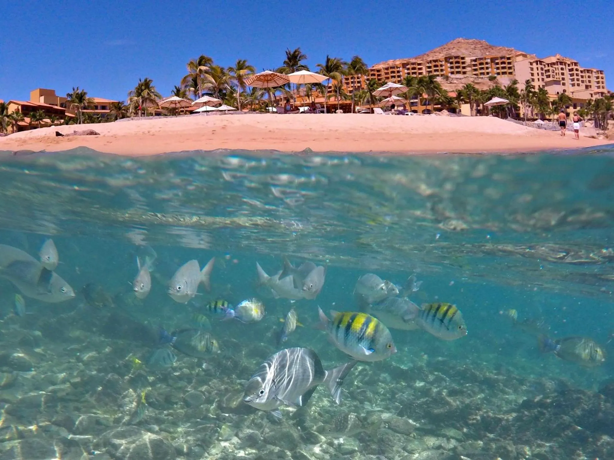 Fitness centre/facilities in Grand Fiesta Americana Los Cabos All Inclusive Golf & Spa