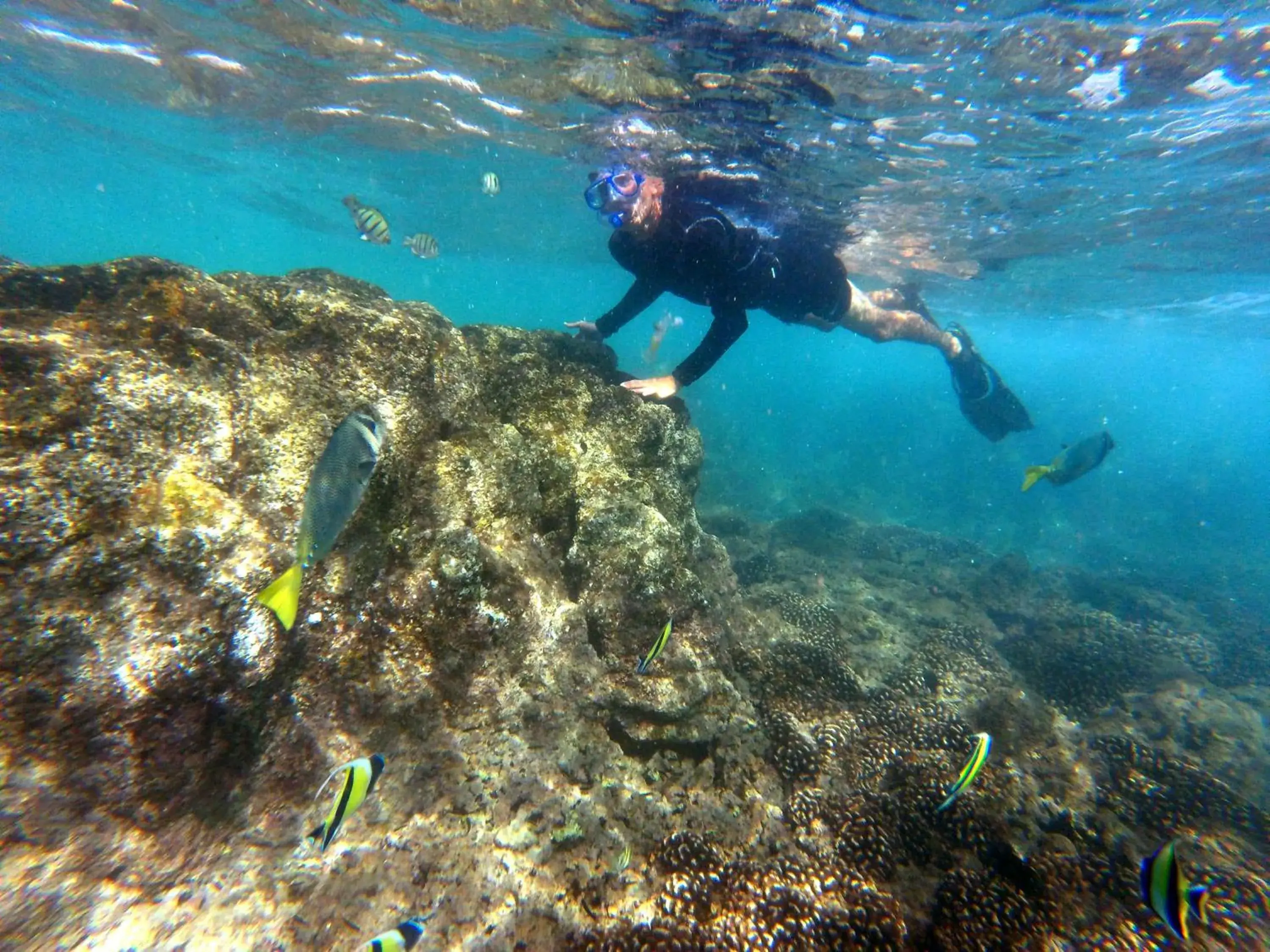 Fitness centre/facilities in Grand Fiesta Americana Los Cabos All Inclusive Golf & Spa Fitness centre/facilities in Grand Fiesta Americana Los Cabos All Inclusive Golf & Spa