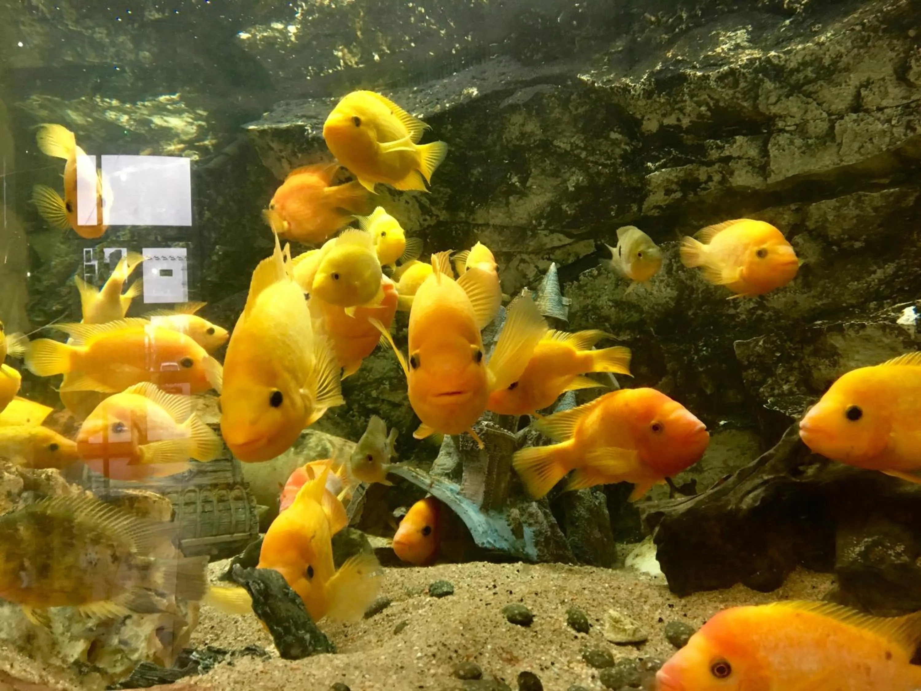 Hôtel Restaurant de L'Europort