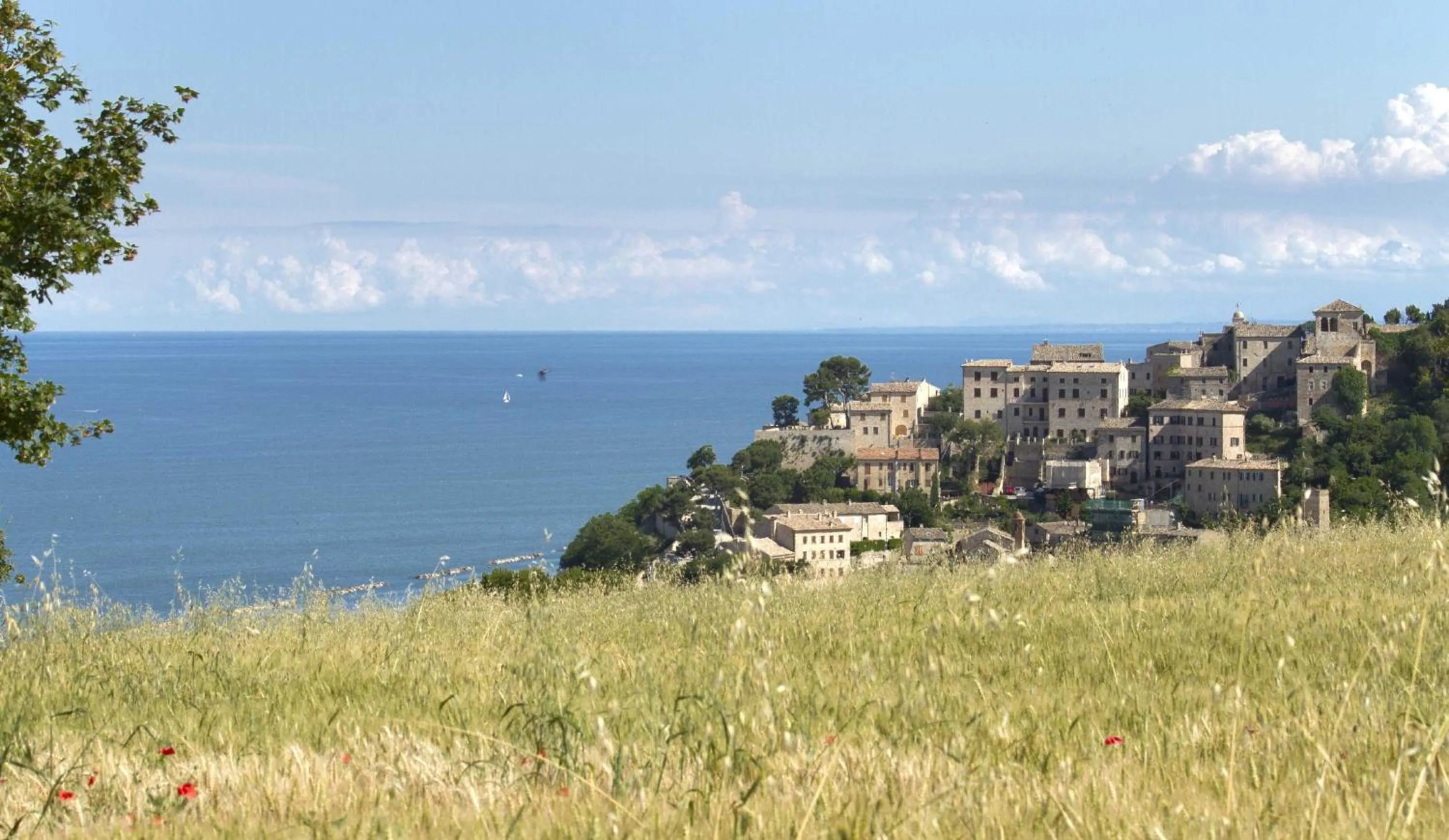 Day in Residence I Delfini