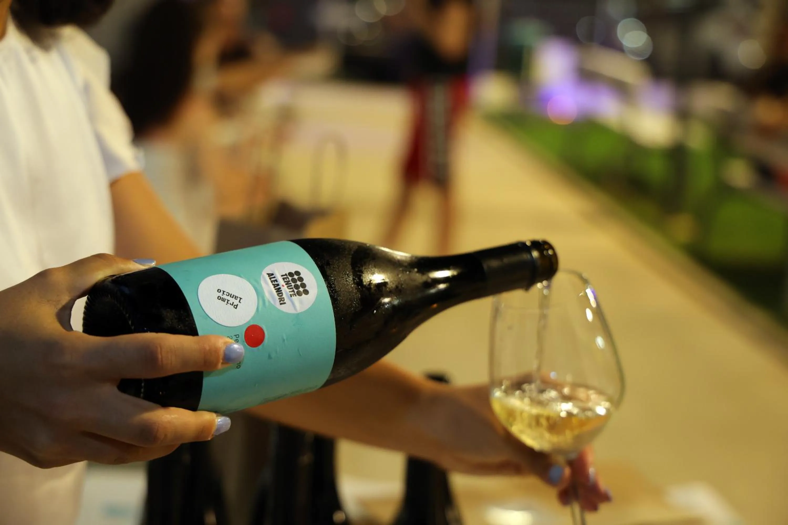 Alcoholic drinks in Residence I Delfini