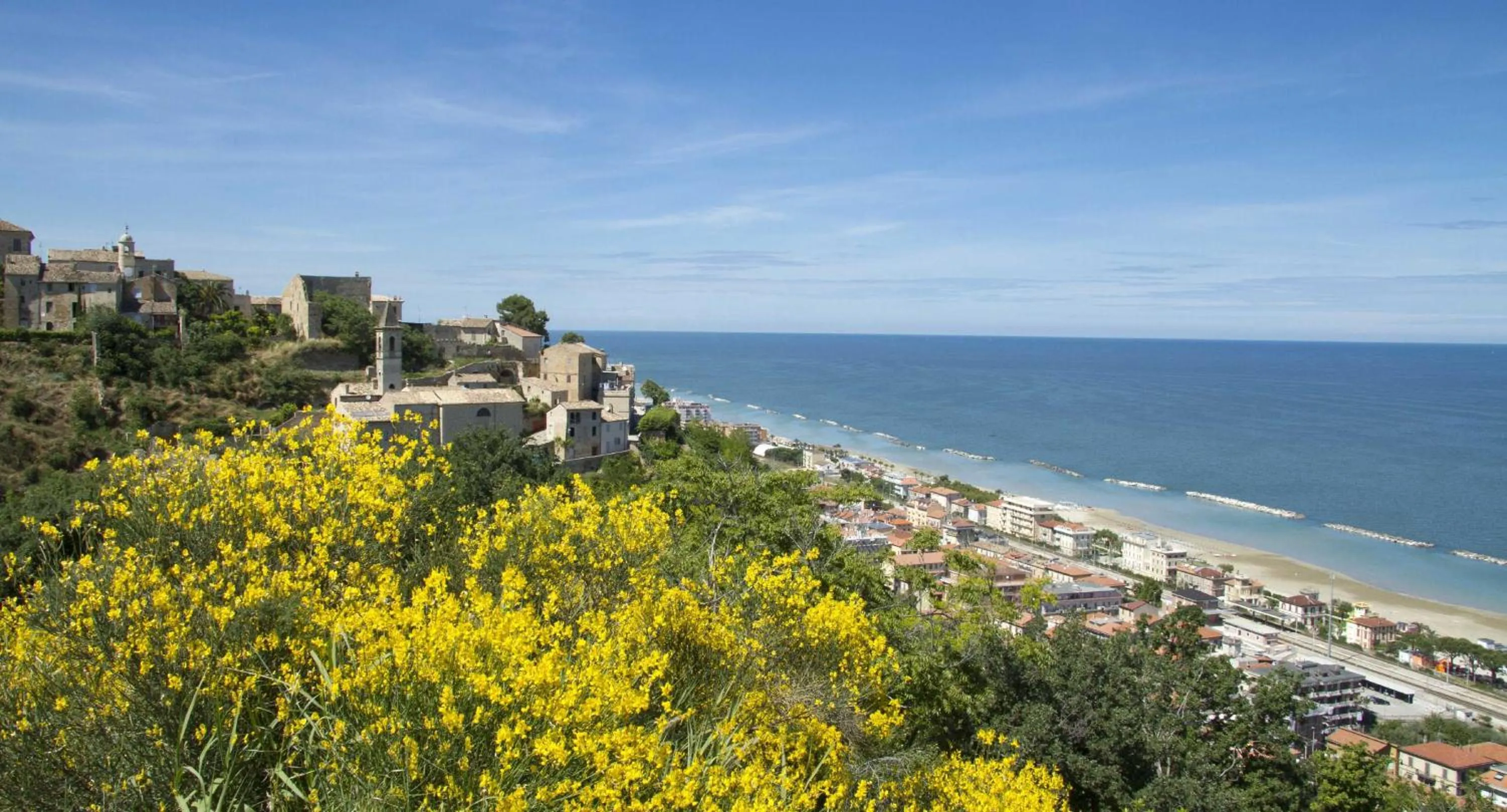 Day in Residence I Delfini