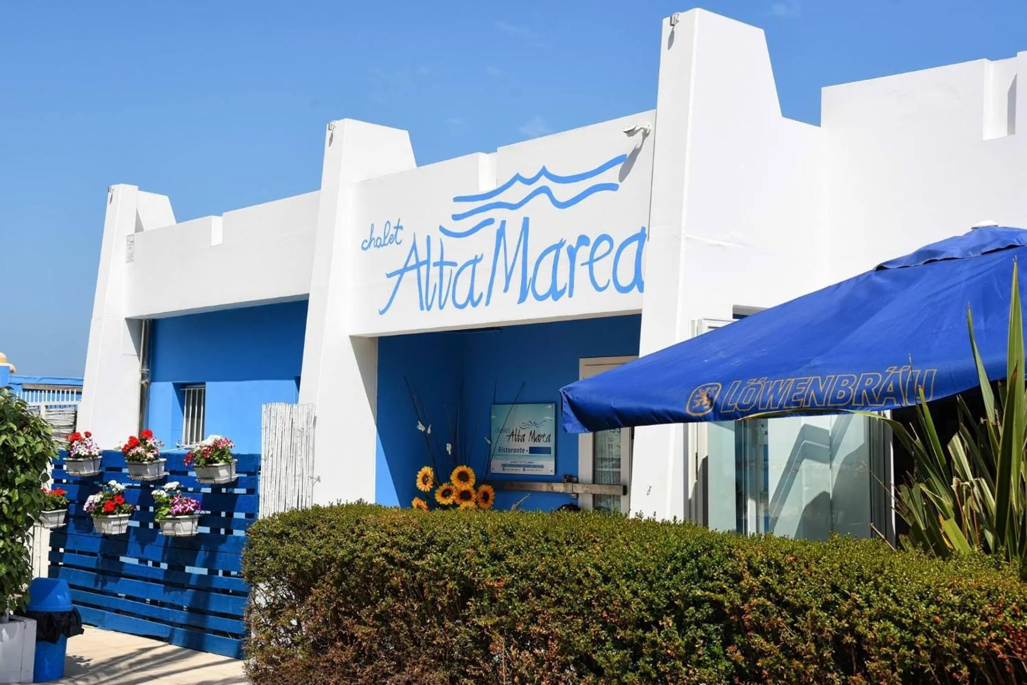 Other in Residence I Delfini