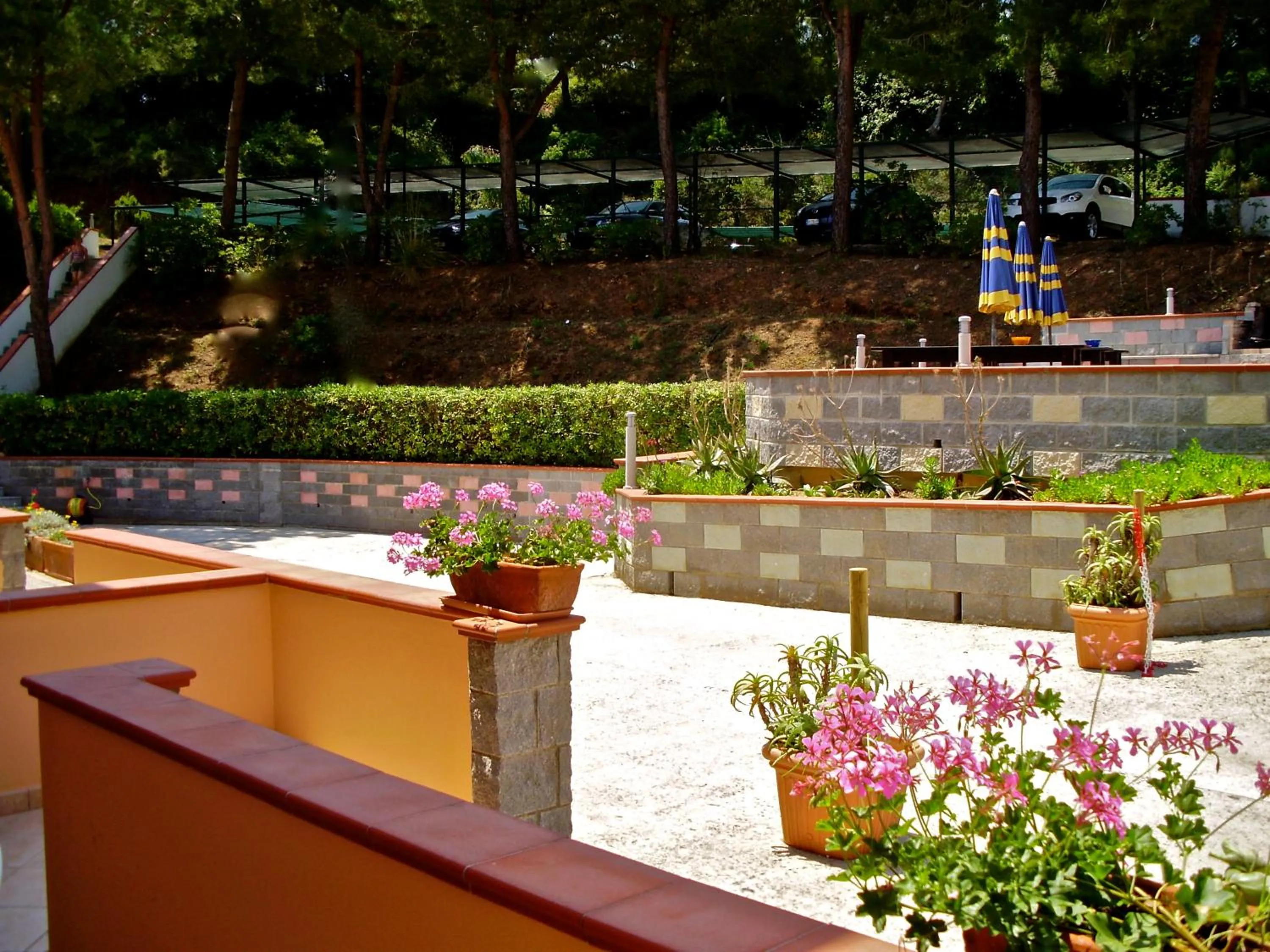 Facade/entrance in Residence Reale