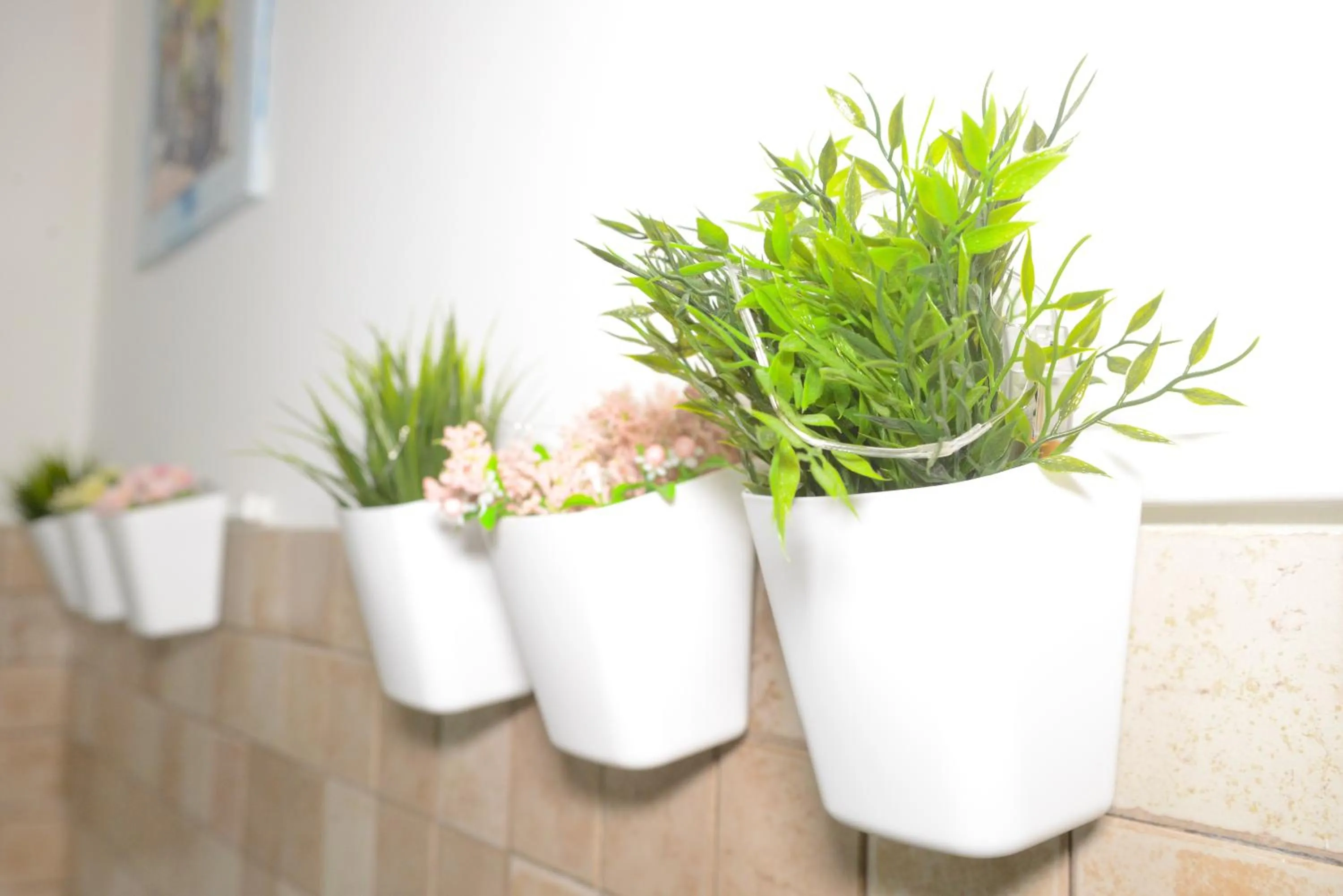 Photo of the whole room in De Rossi Holiday