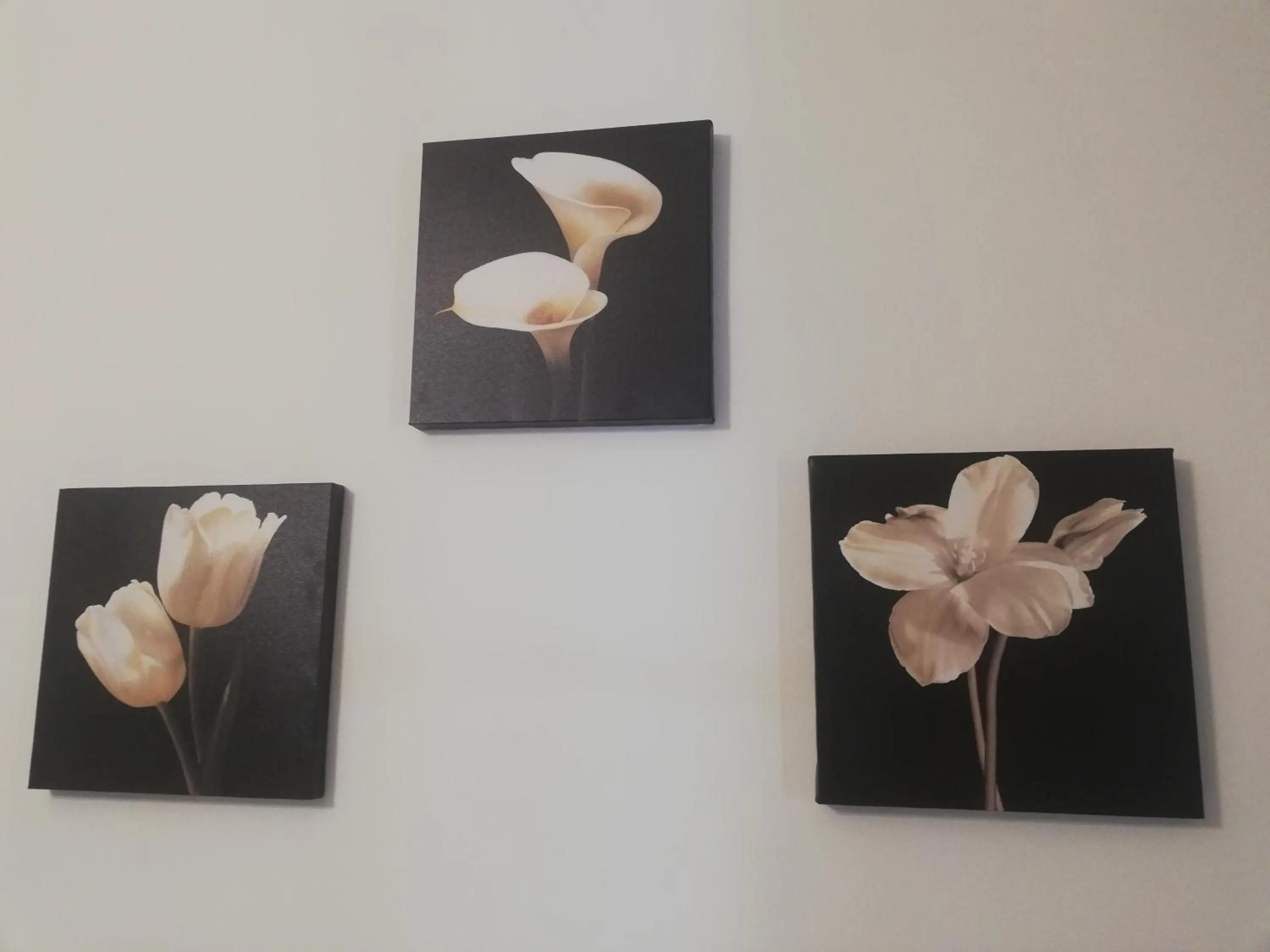 View (from property/room) in De Rossi Holiday