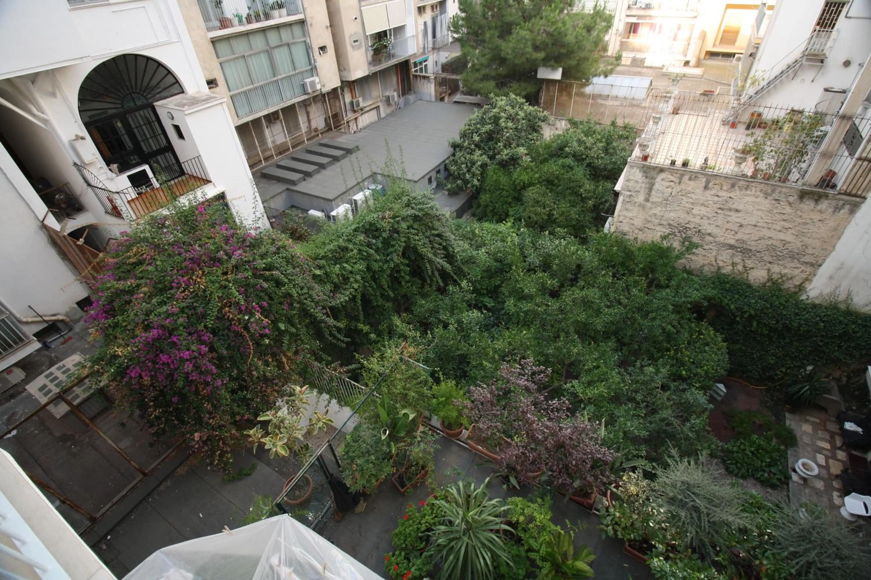 Garden view in De Rossi Holiday