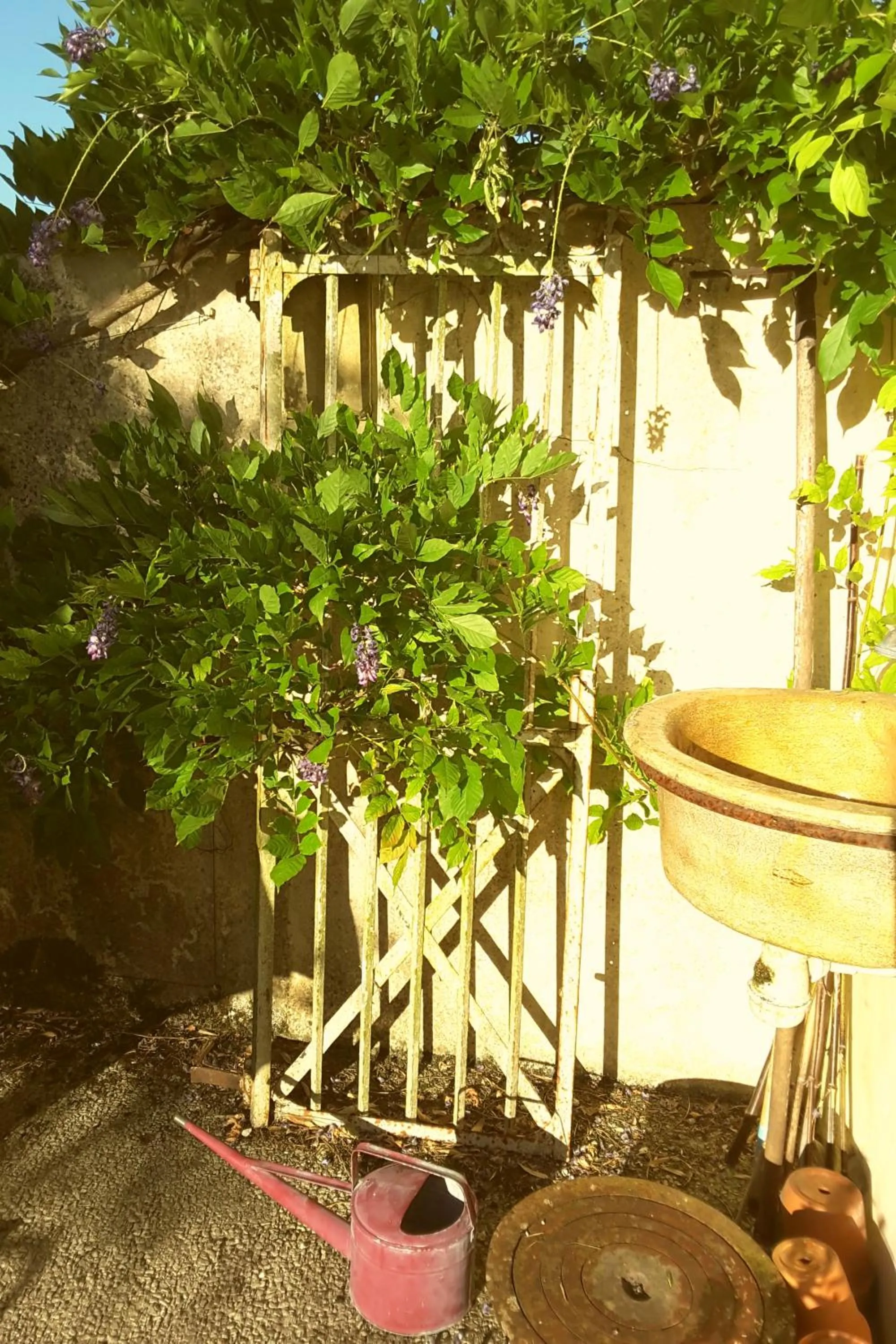 Property building in La Maison des Thermes, Chambre d'hôte