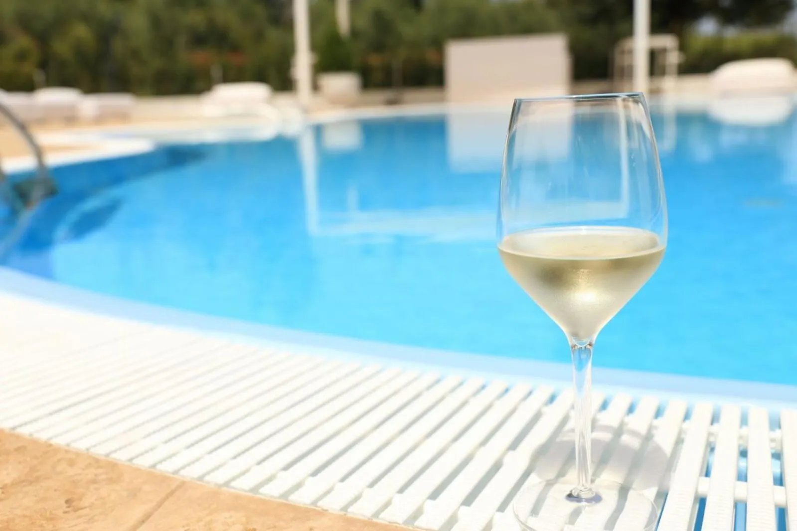 Alcoholic drinks in Hotel Europa