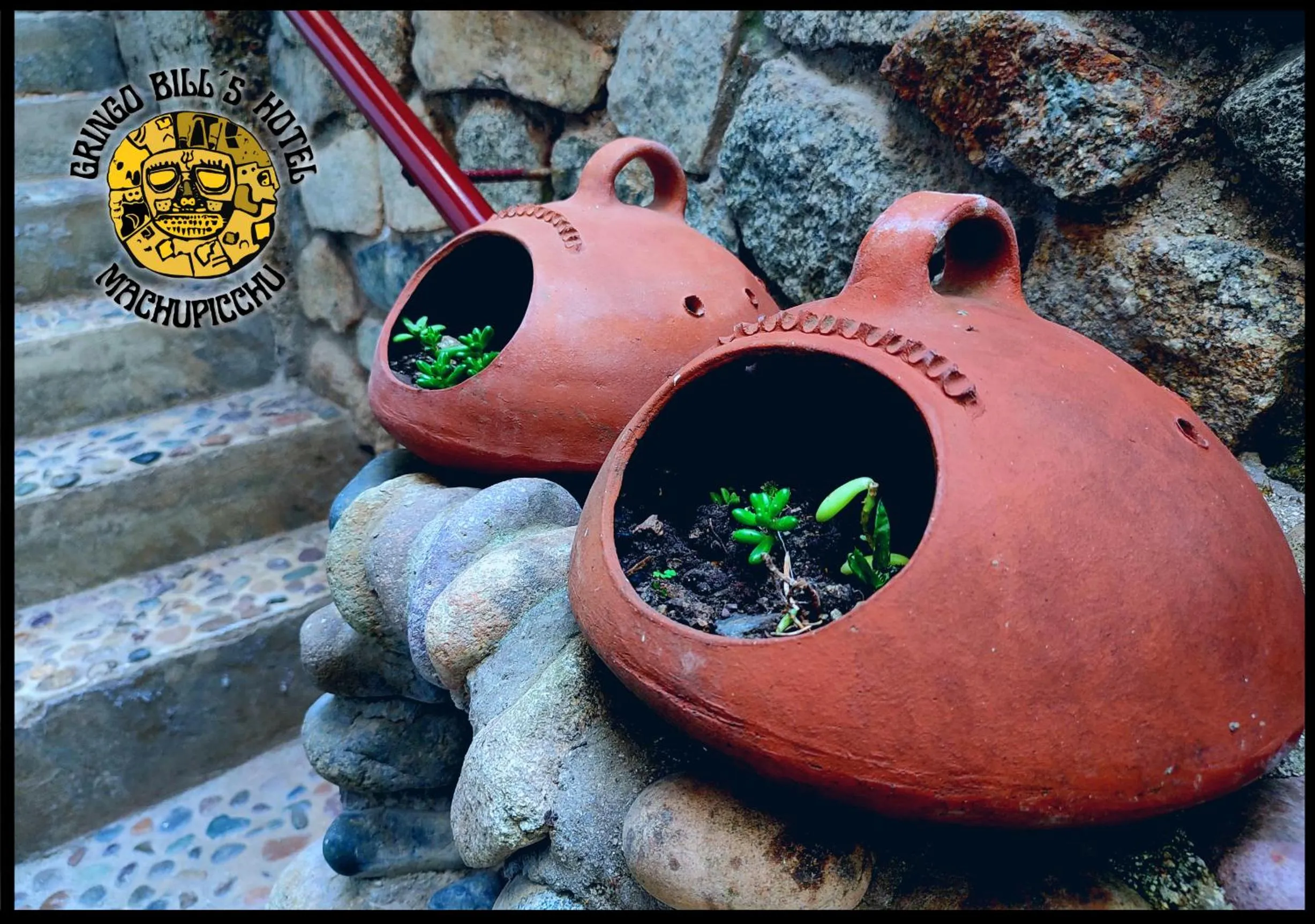 Gringo Bill's Boutique Hotel