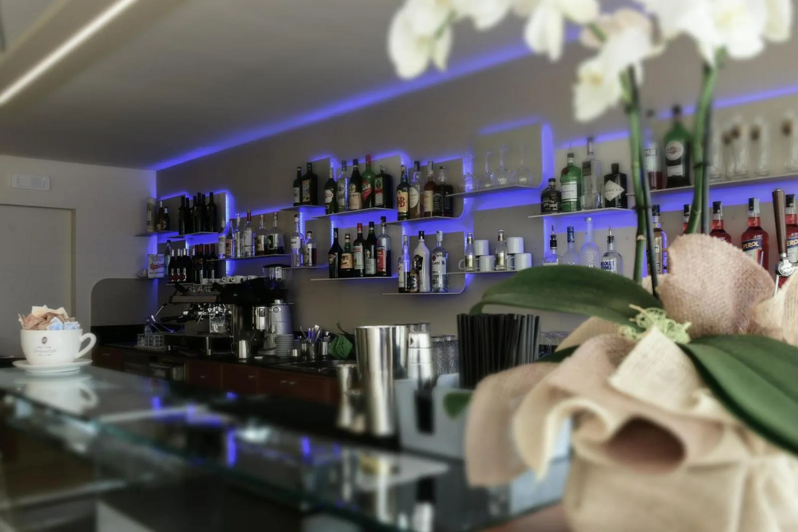 Lounge or bar in Hotel Sirenetta